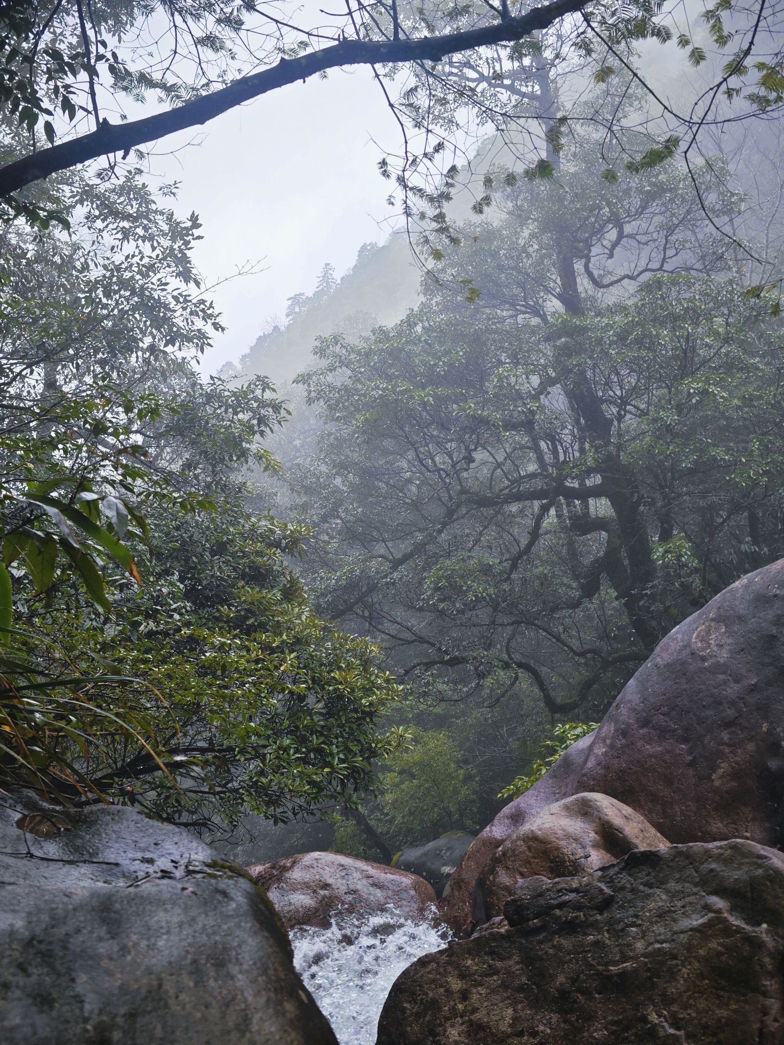 青茅境风景区旅行图片 2