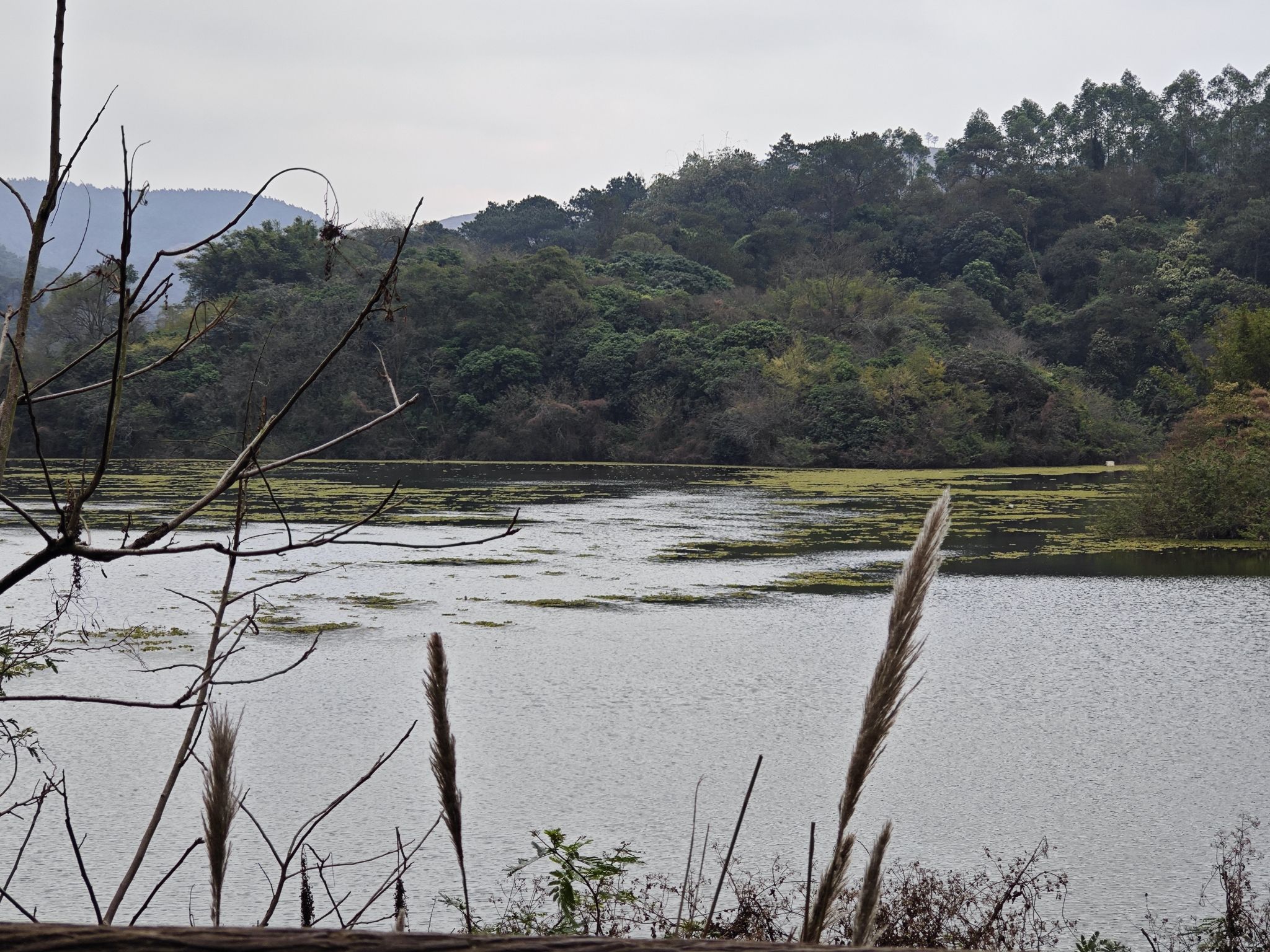 东龙森林公园旅行图片 2