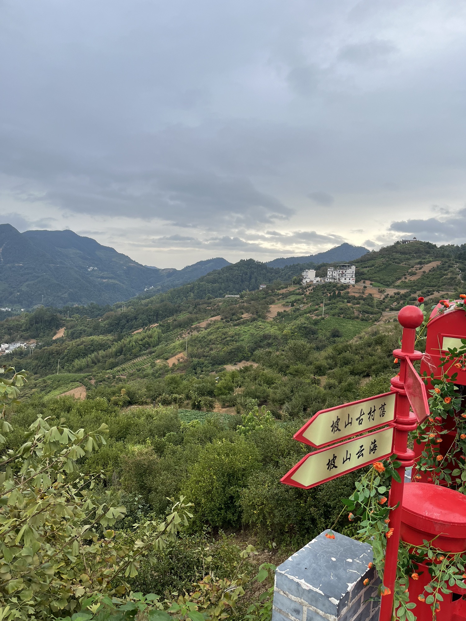 坡山风景区旅行图片 2