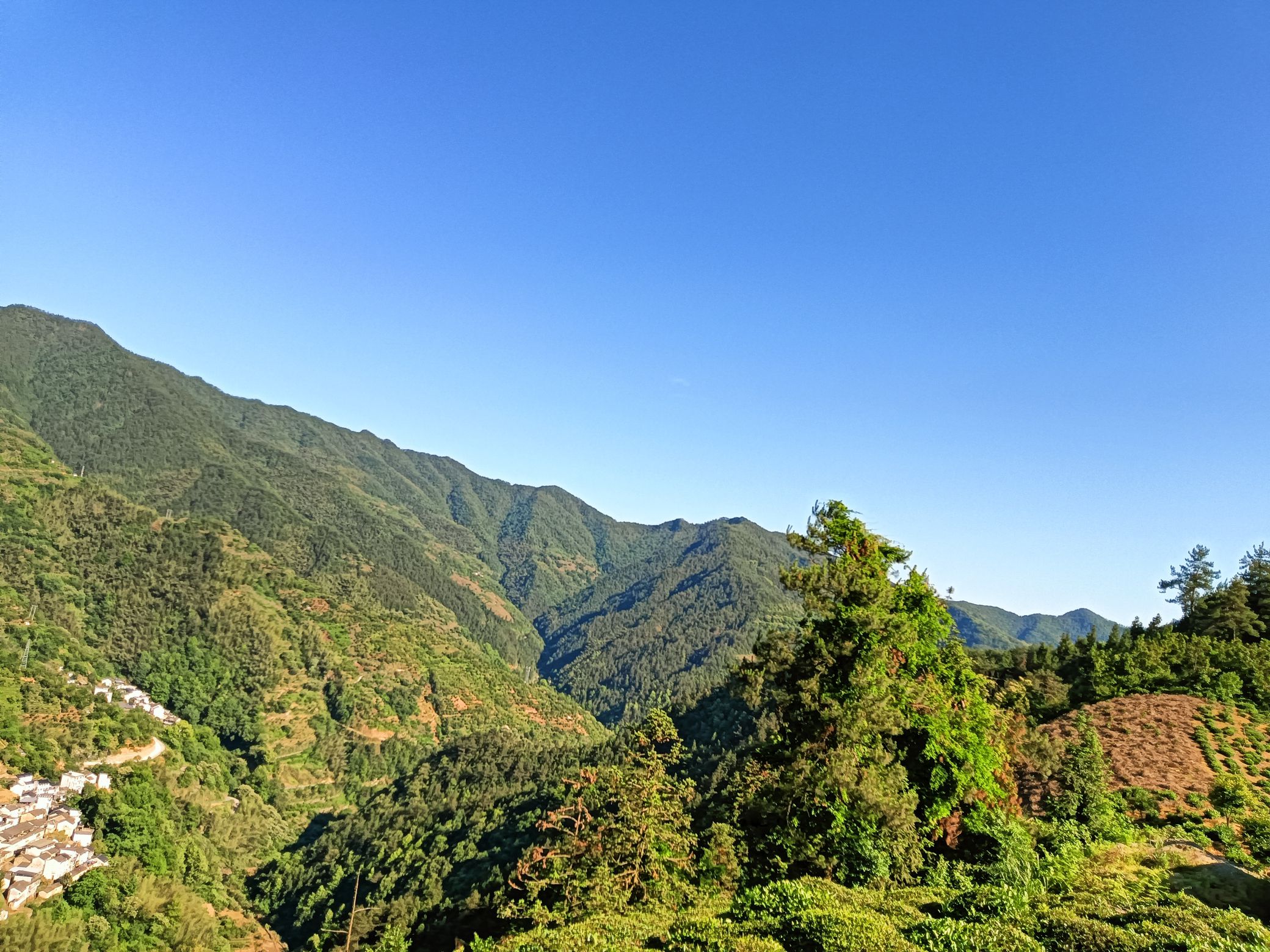 坡山风景区旅行图片 2