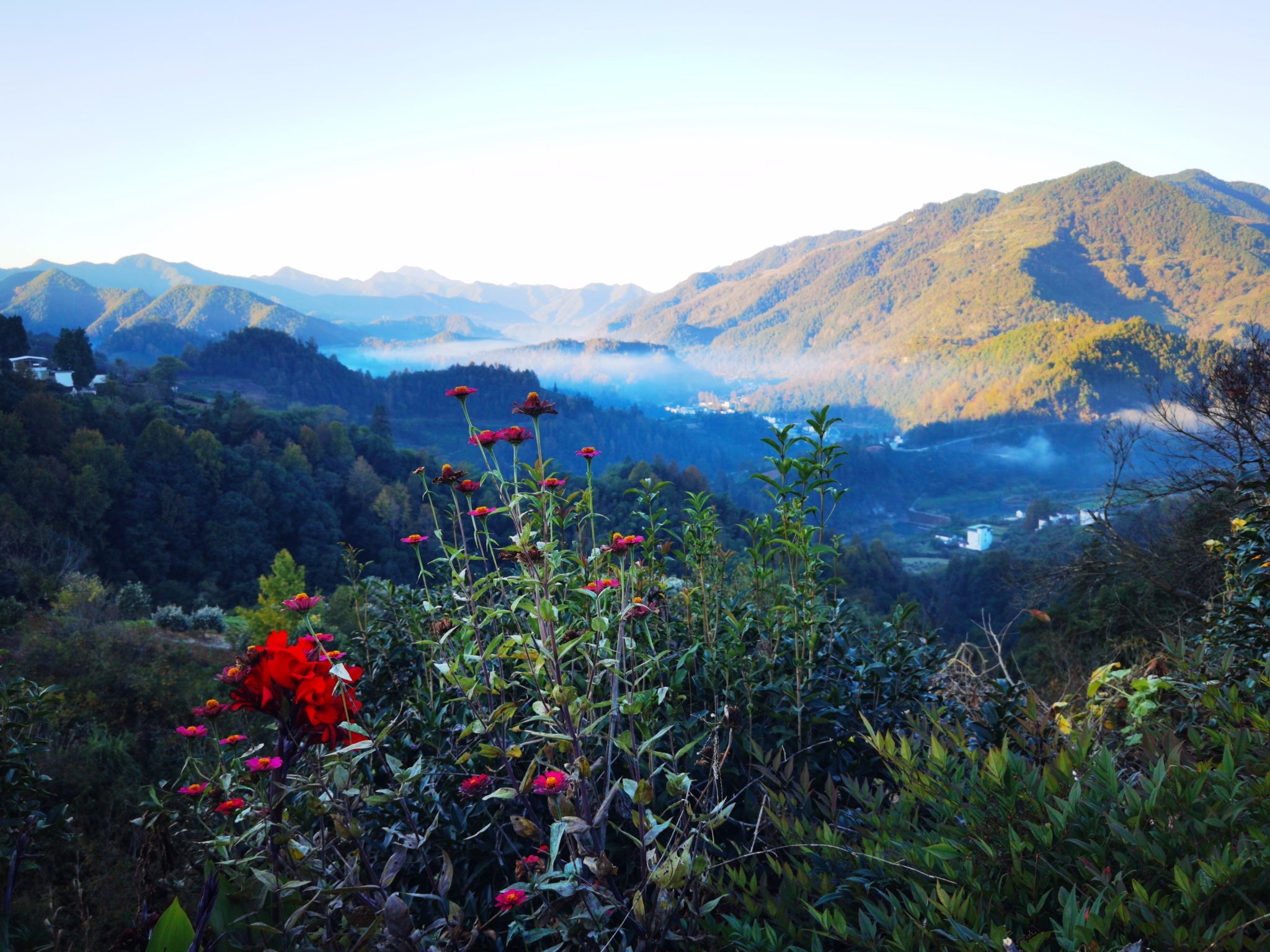 坡山风景区旅行图片 2