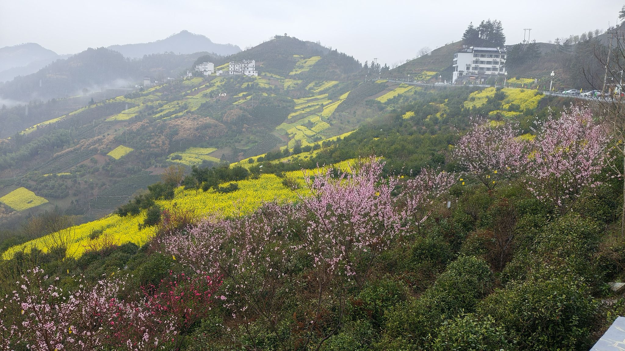 坡山风景区旅行图片 3