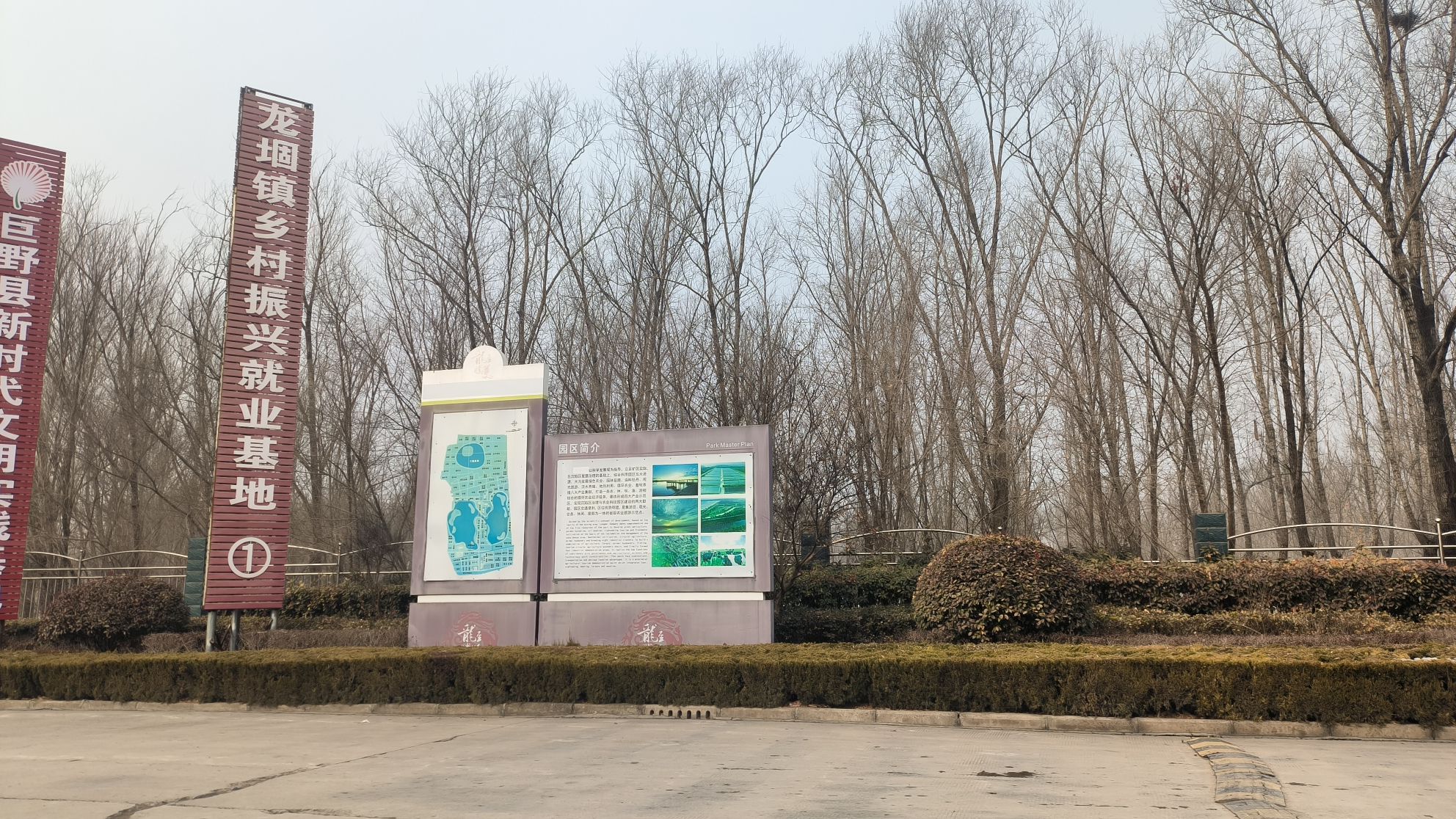 巨野县新巨龙湿地公园旅行图片 2