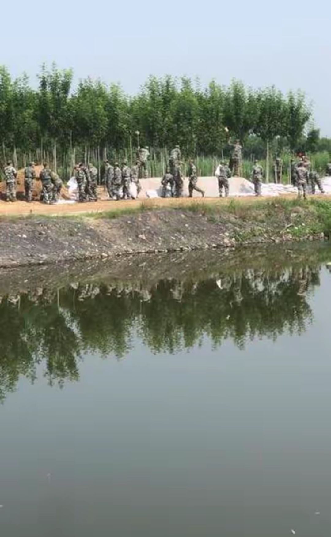 巨野县新巨龙湿地公园旅行图片 1