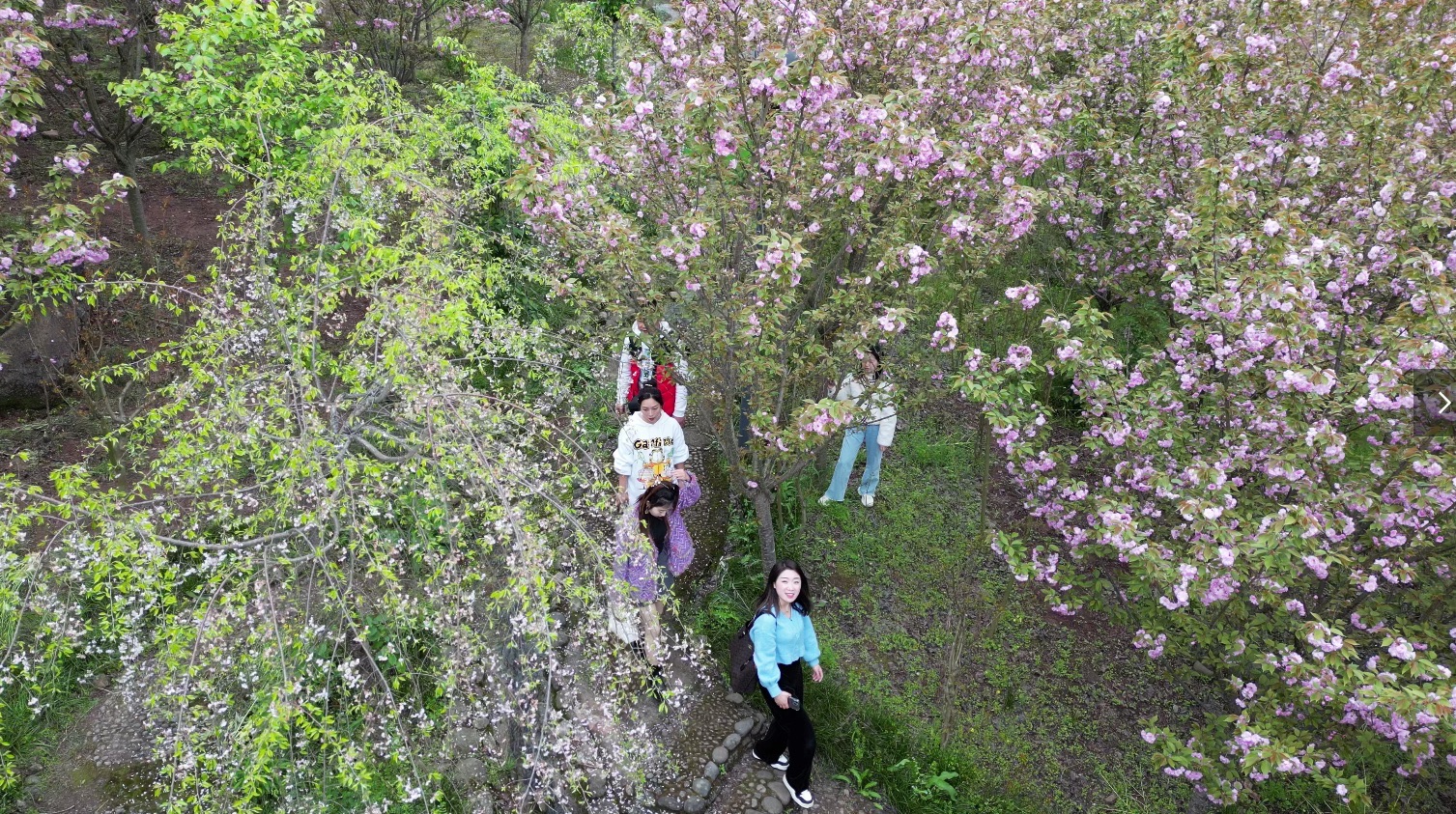 盛山植物园旅行图片 3
