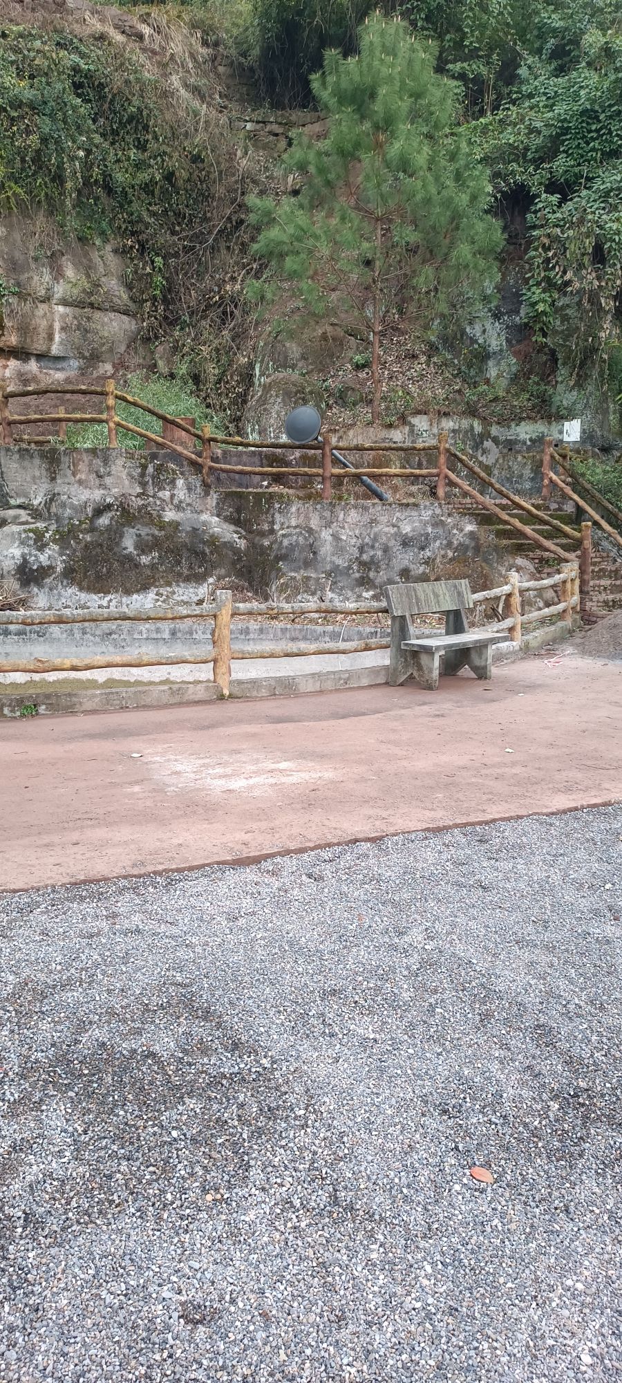 盛山植物园旅行图片 2
