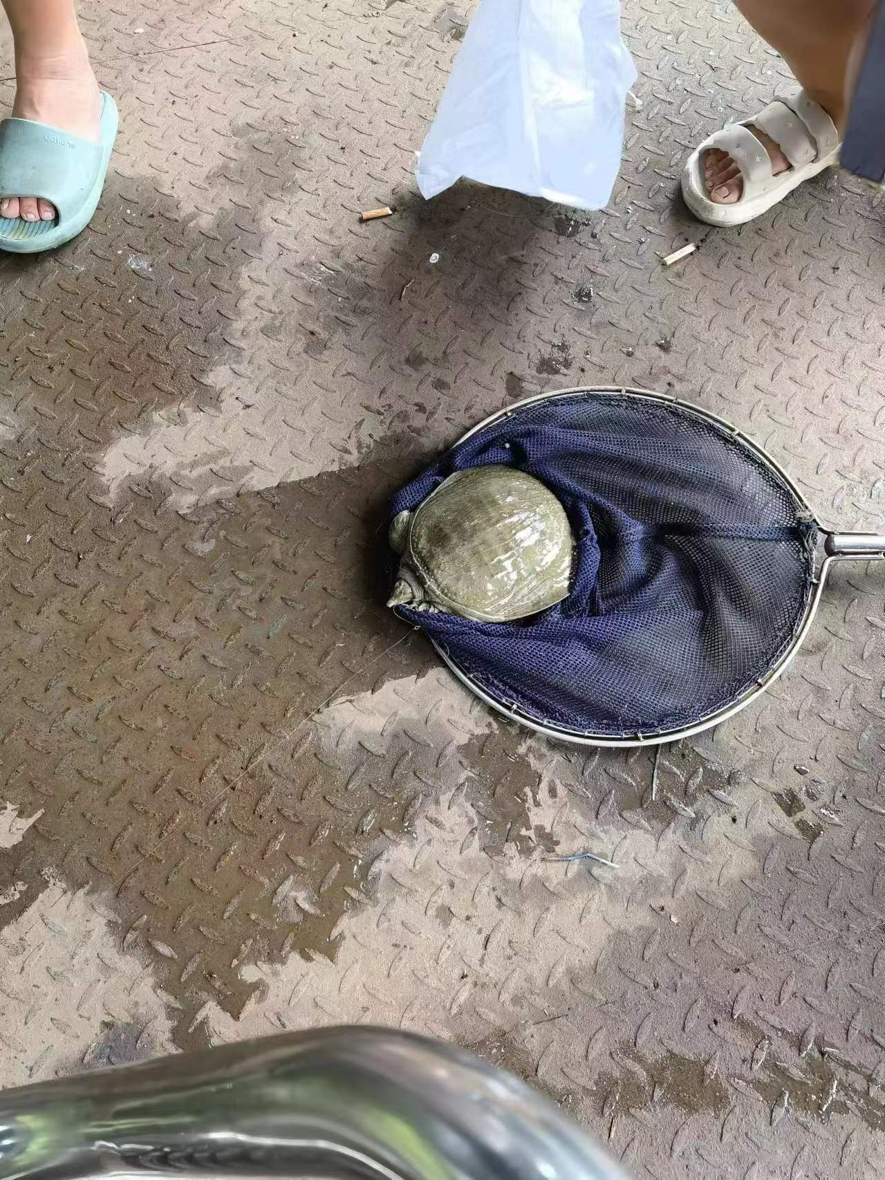 绿丰钓虾场