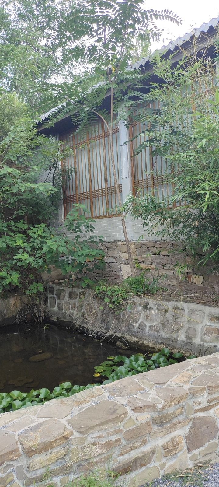 周窑古村旅行图片 1