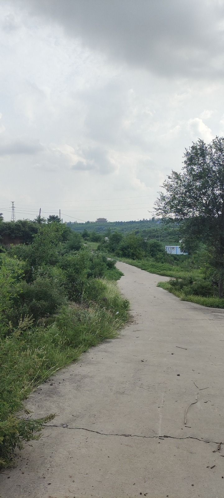 周窑古村旅行图片 3
