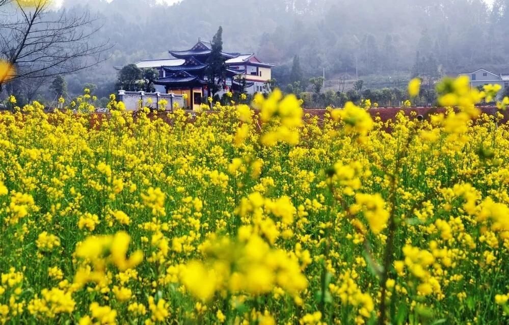 双龙湾生态园景区