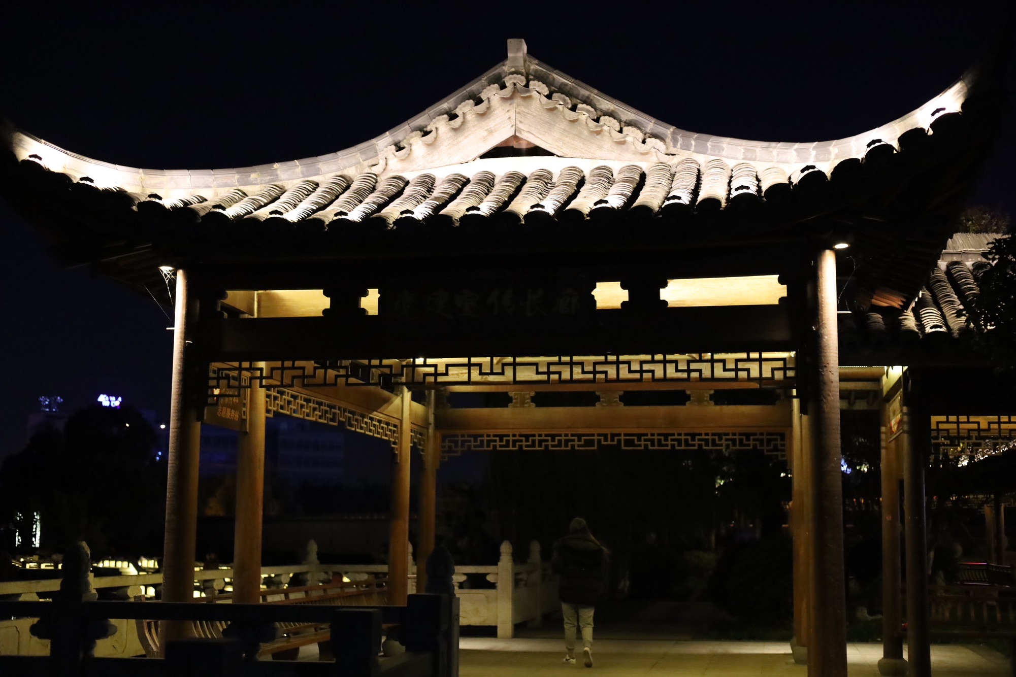 振兴公园旅行图片 3