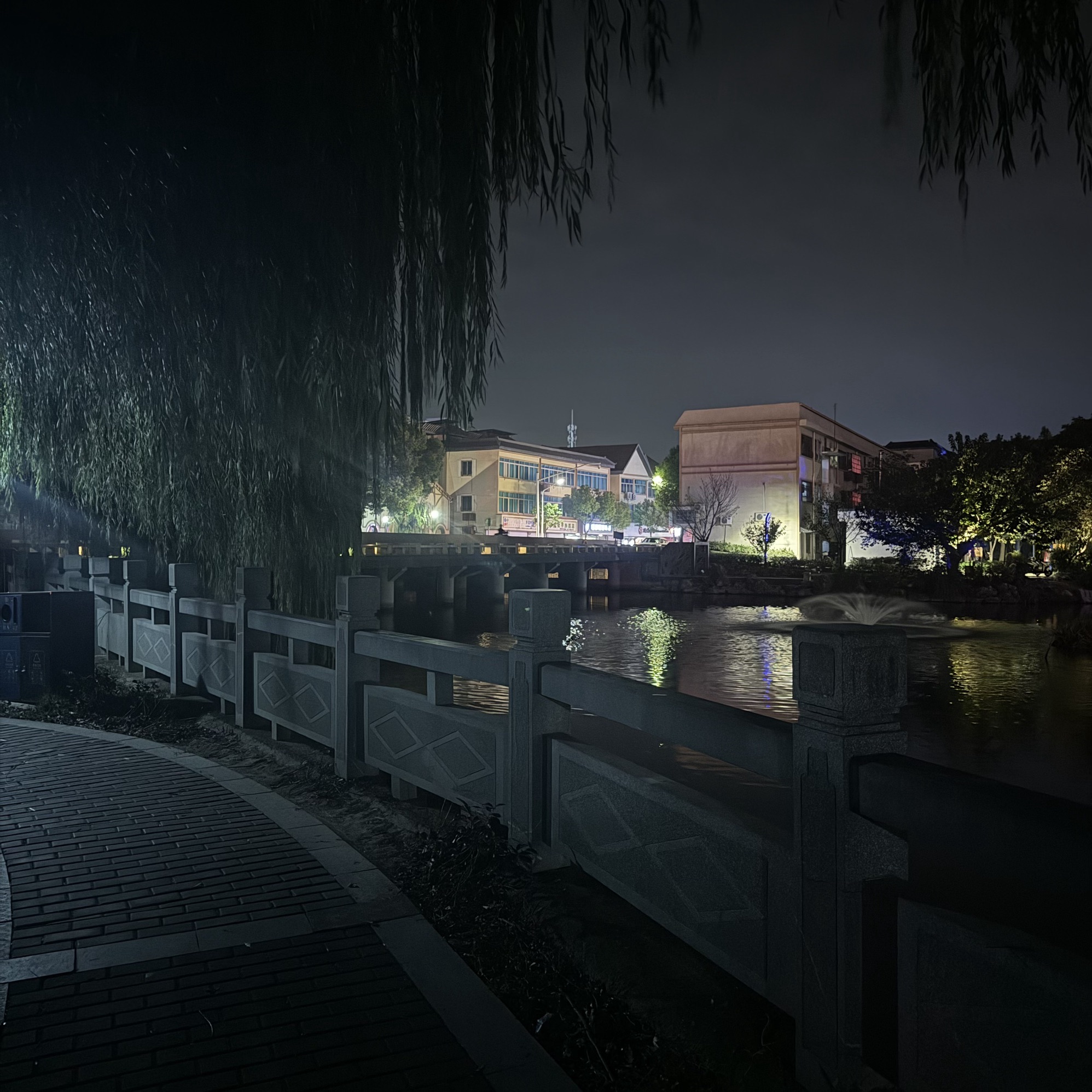 振兴公园旅行图片 3