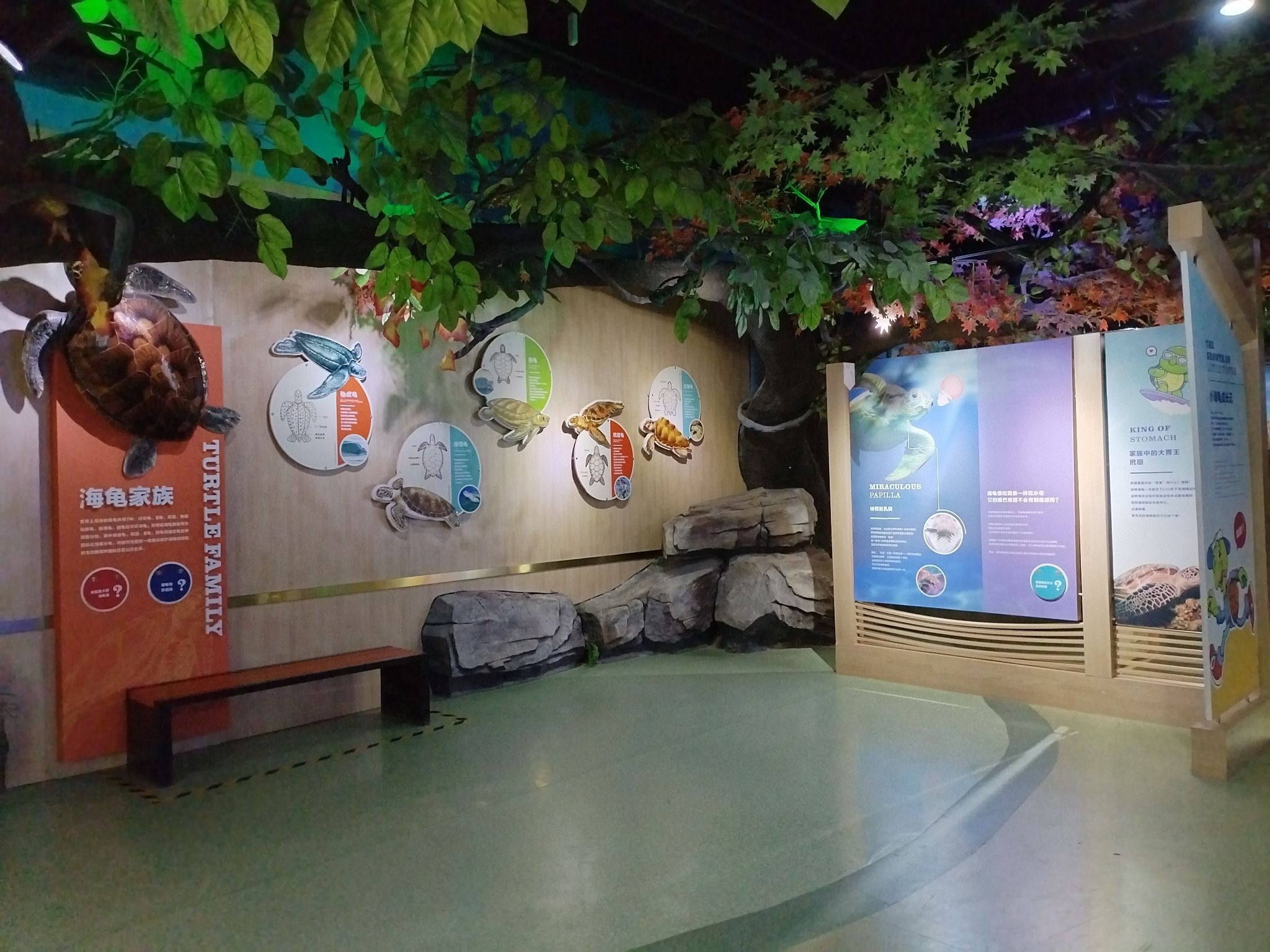 临沂海洋世界主题公园旅行图片 2