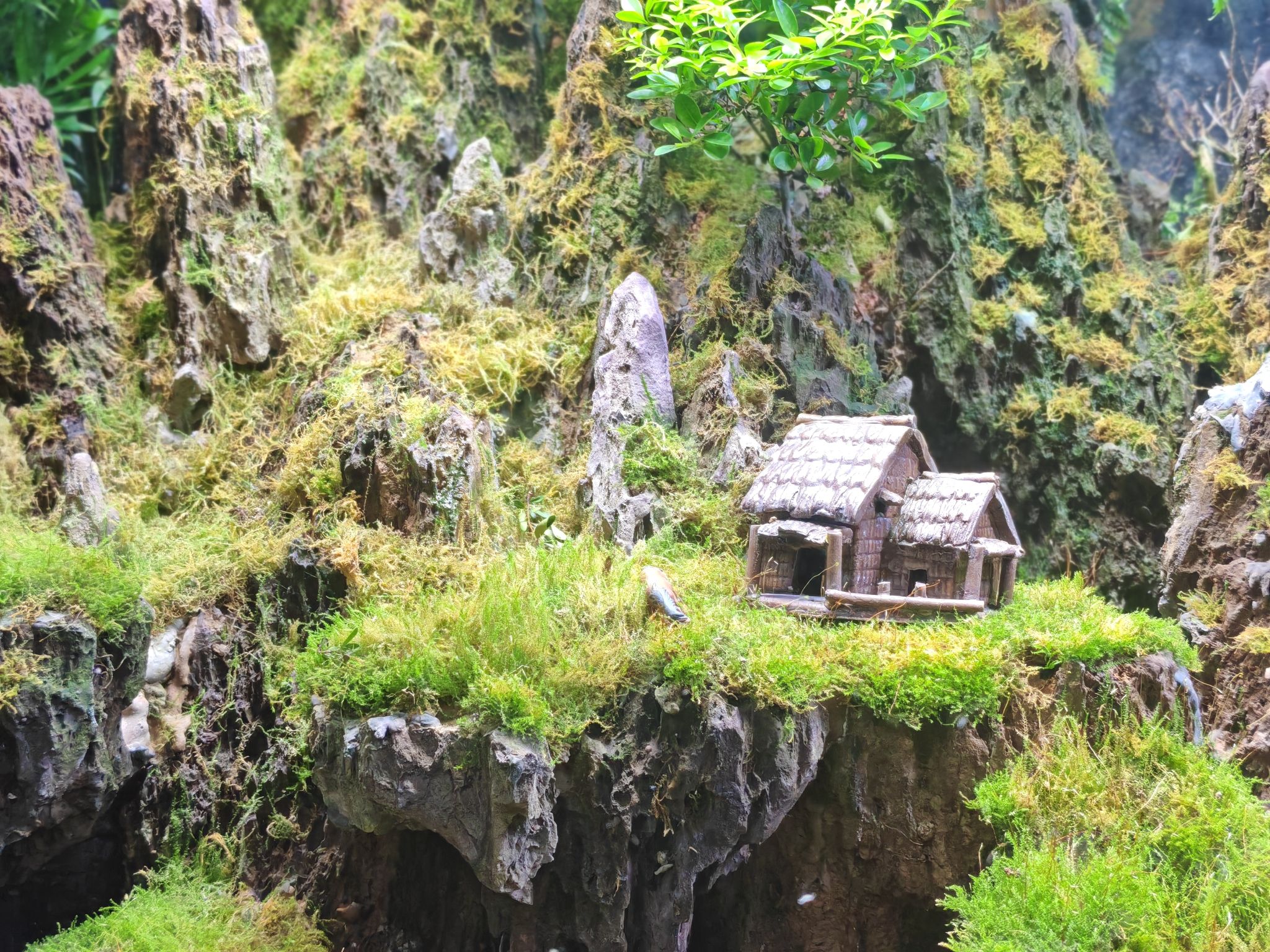 临沂海洋世界主题公园旅行图片 1