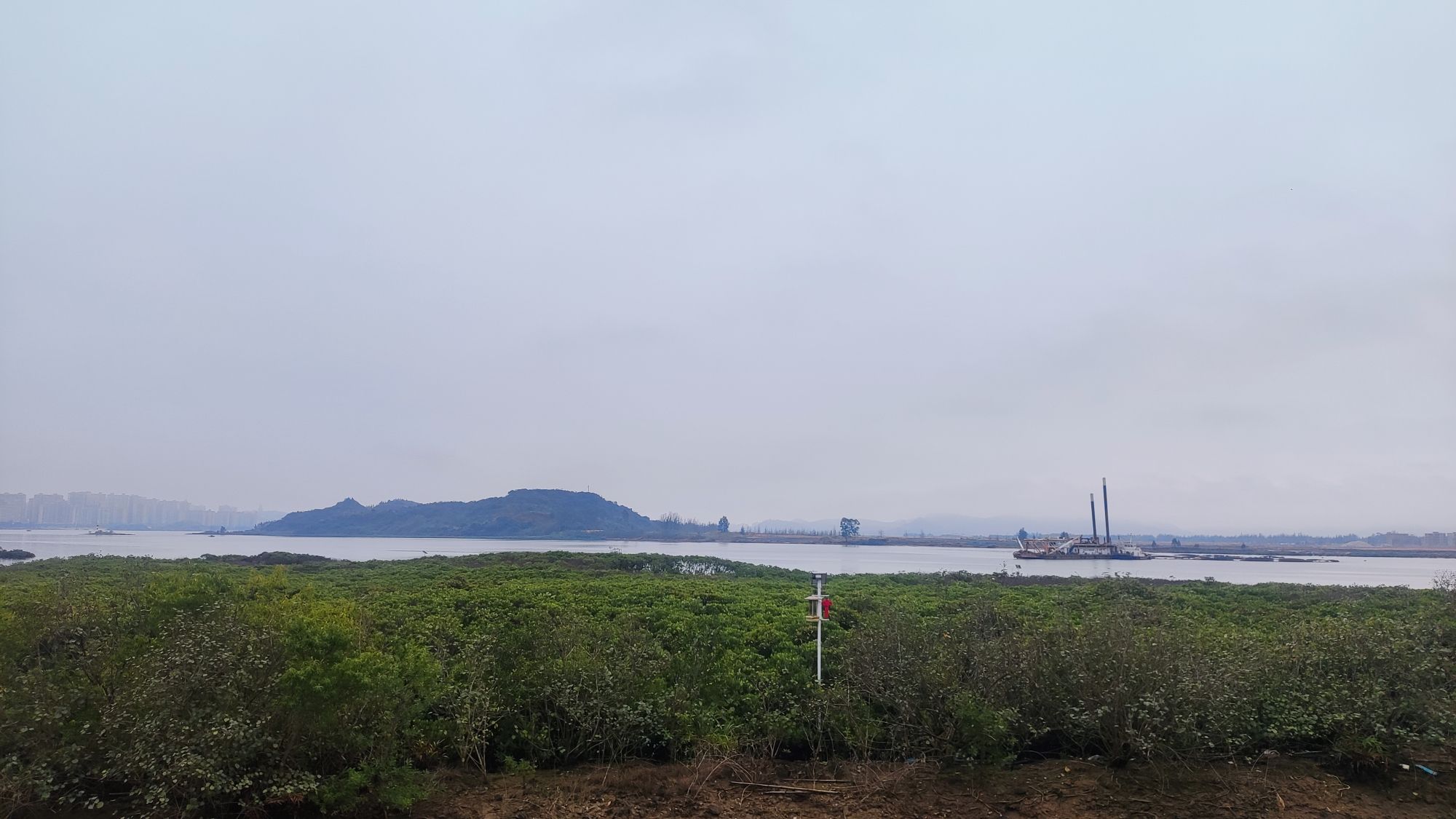 防城港湿地公园旅行图片 1