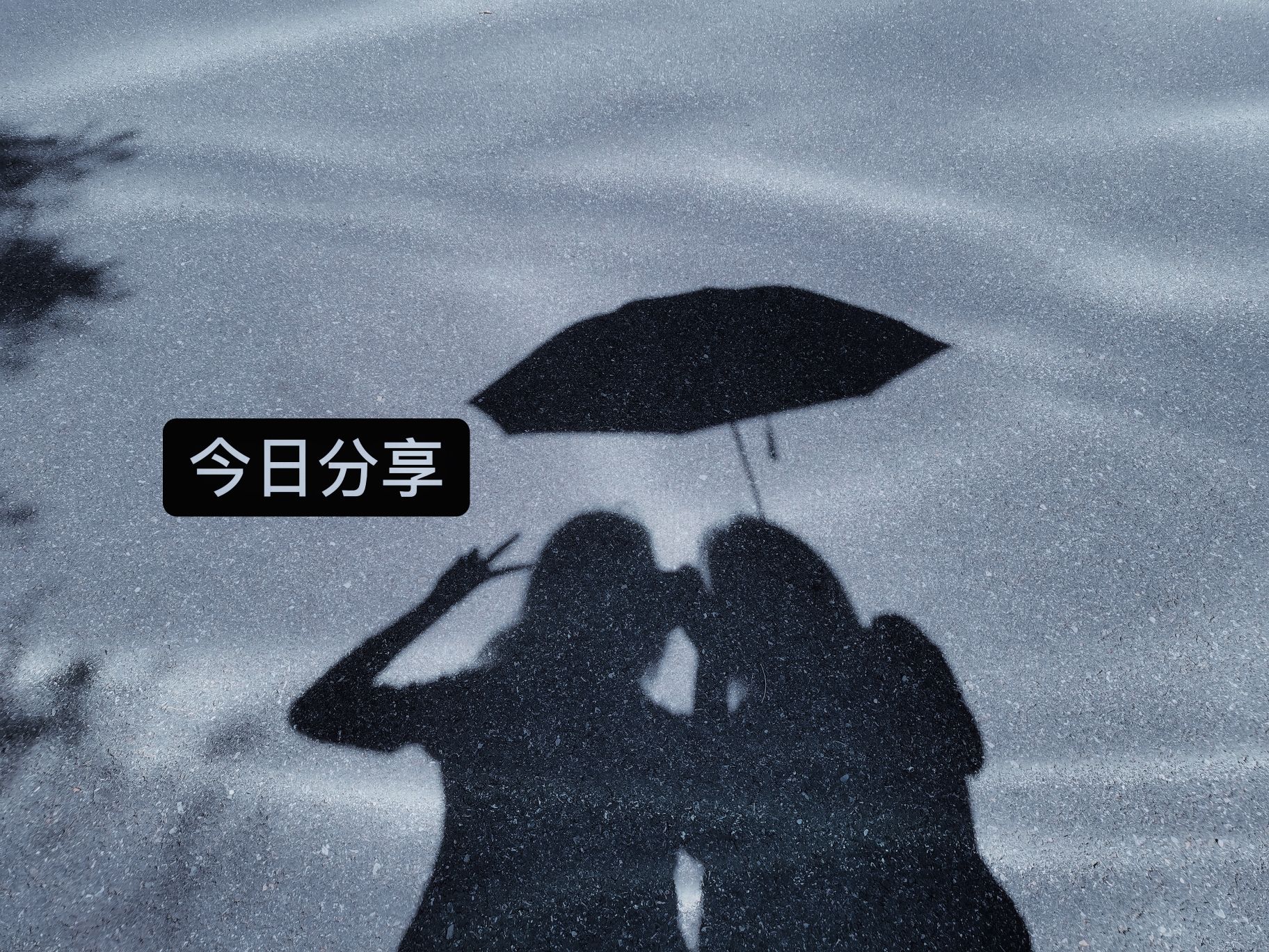 大连小窑湾航海主题公园旅行图片 3