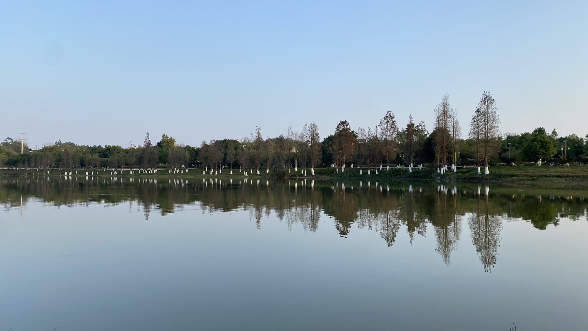 玉林市湿地公园旅行图片 1