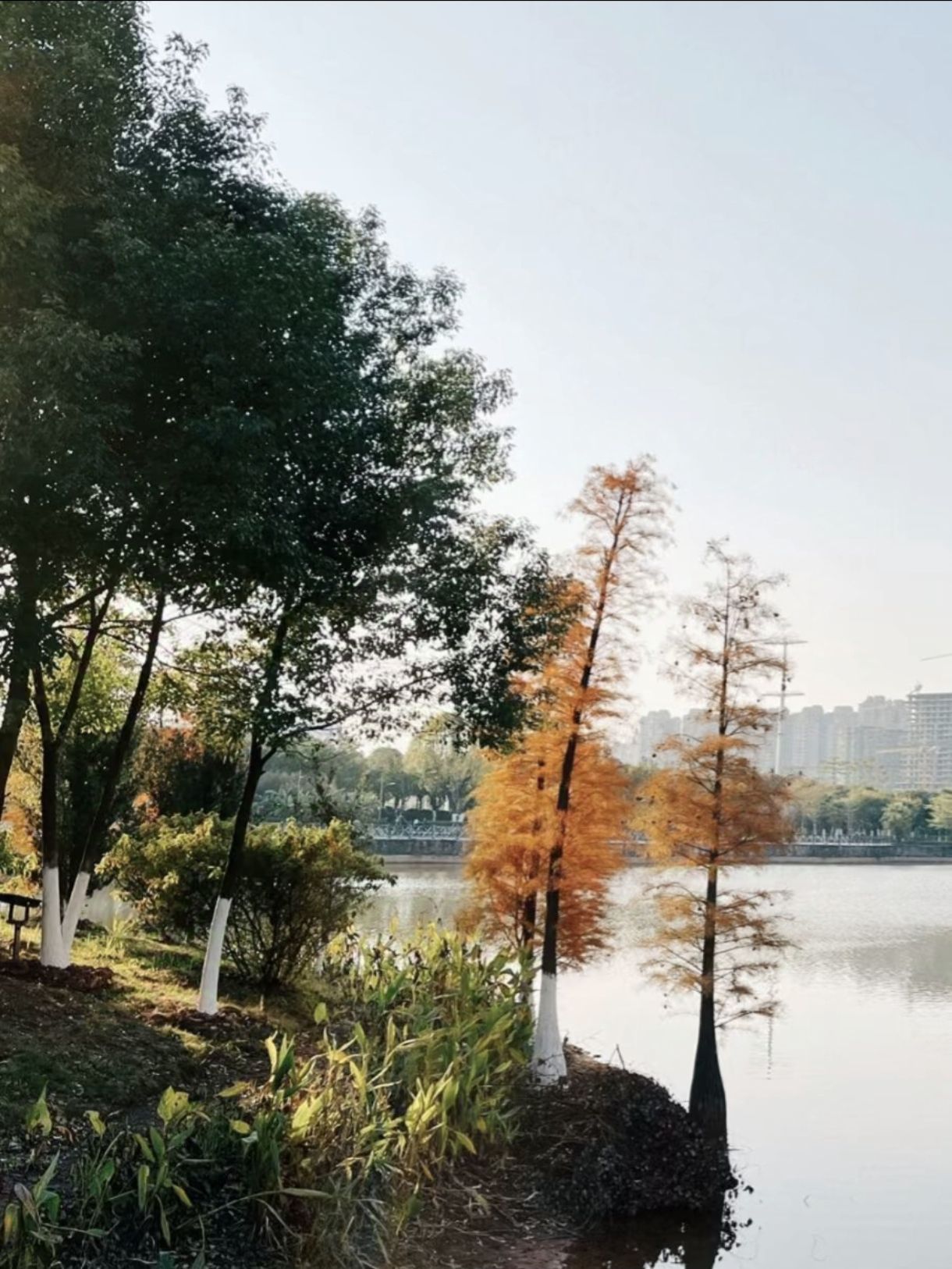 玉林市湿地公园旅行图片 3