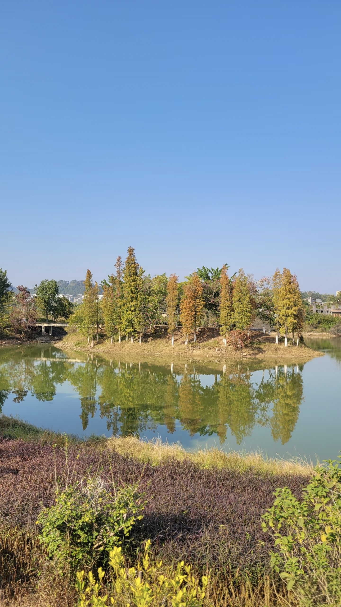 玉林市湿地公园