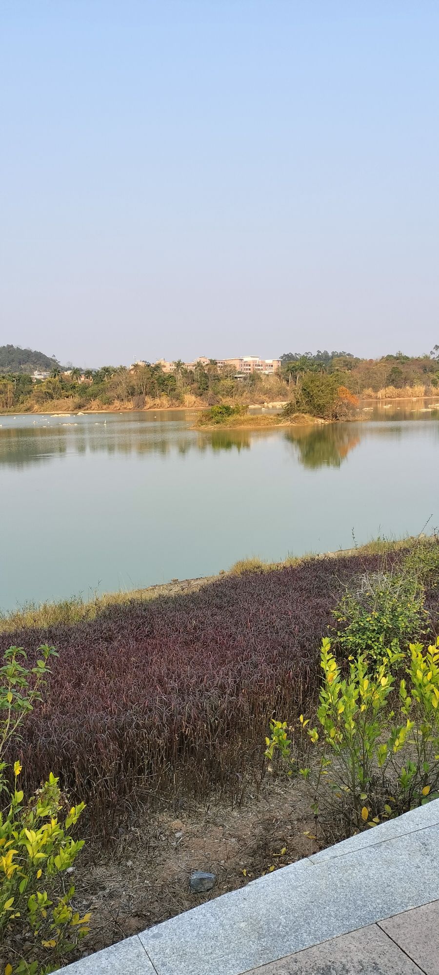 玉林市湿地公园旅行图片 3