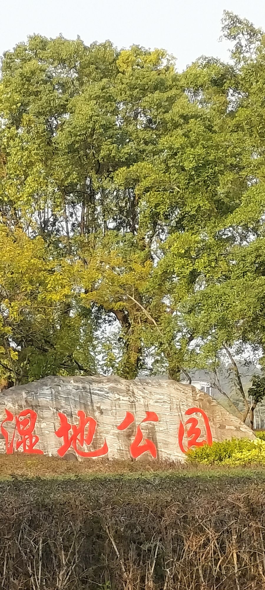 玉林市湿地公园旅行图片 2