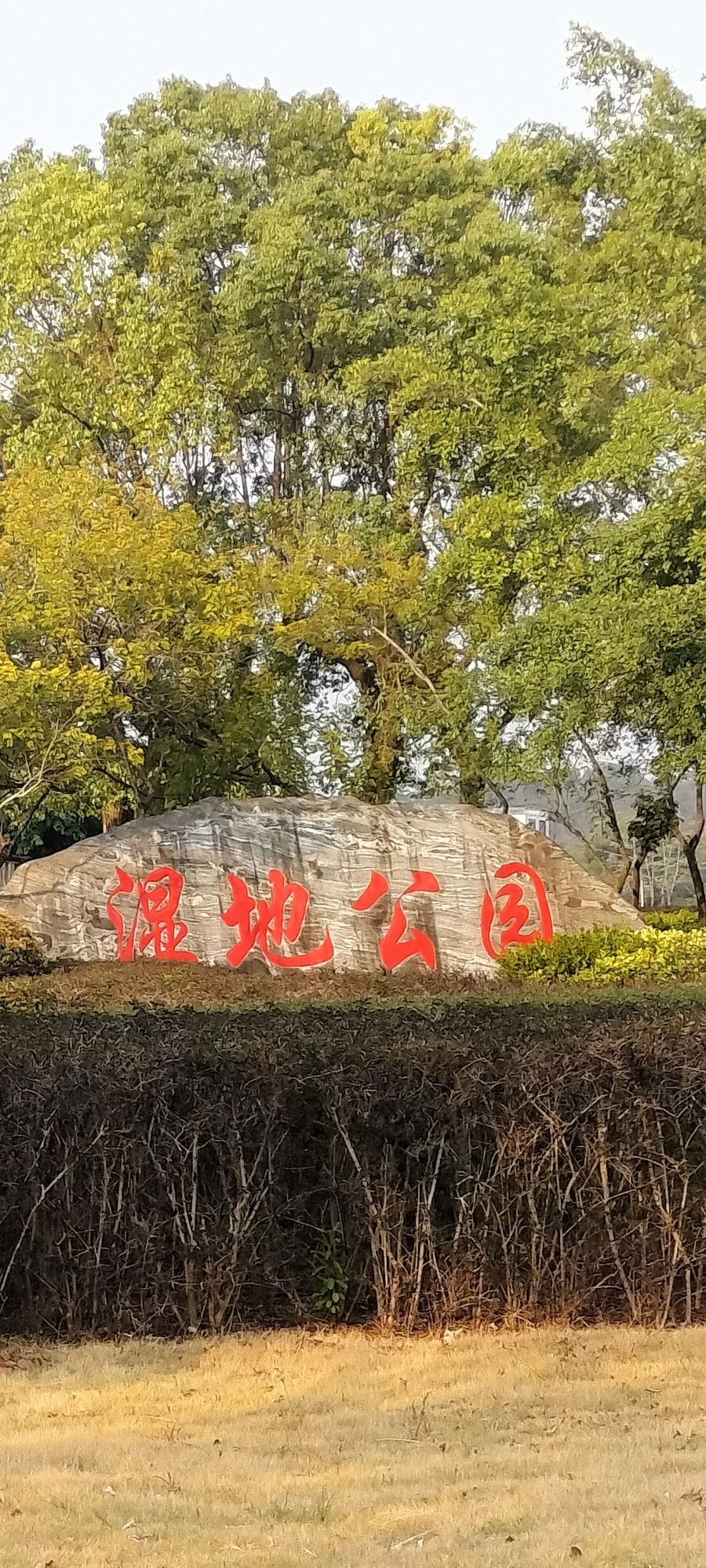 玉林市湿地公园旅行图片 1