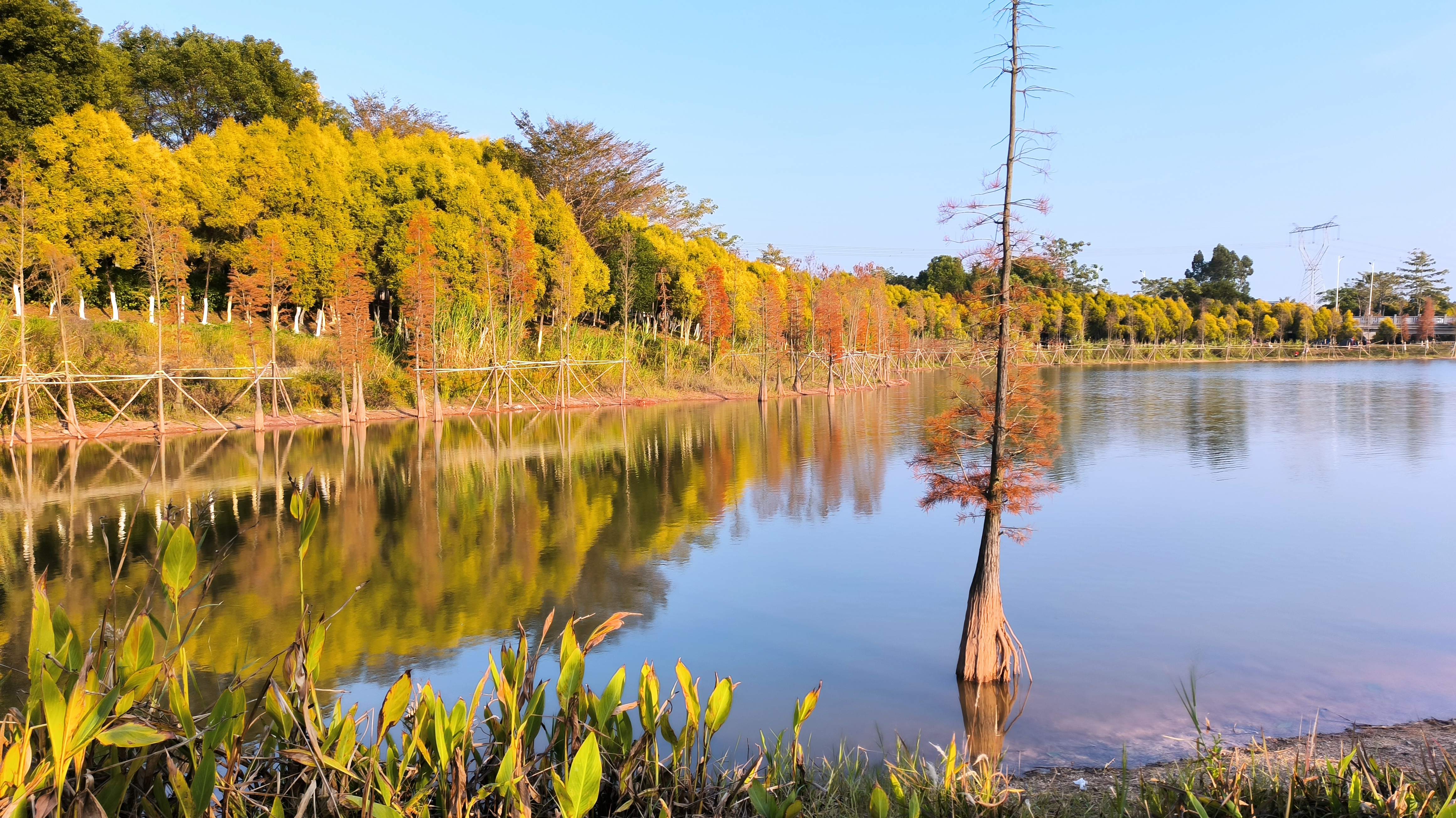 玉林市湿地公园