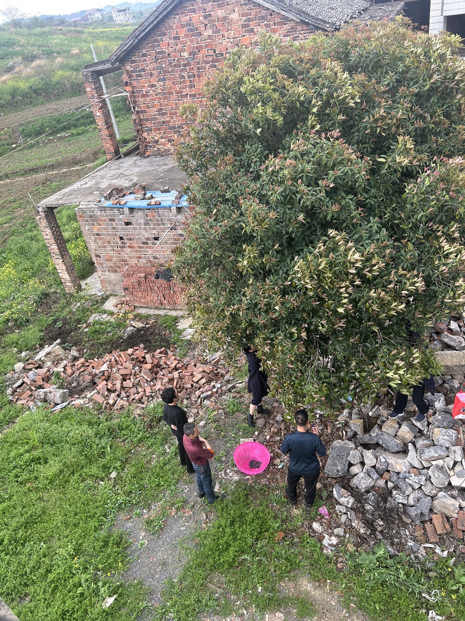 祁东黄花源风景名胜区旅行图片 2