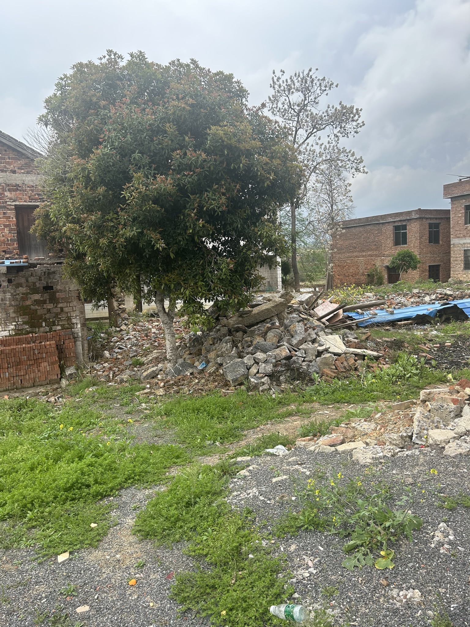 祁东黄花源风景名胜区旅行图片 1