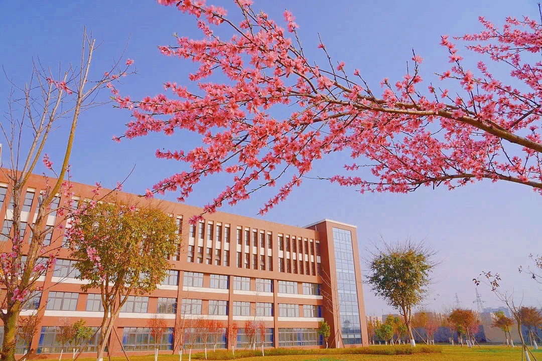 德阳城市轨道交通职业学院