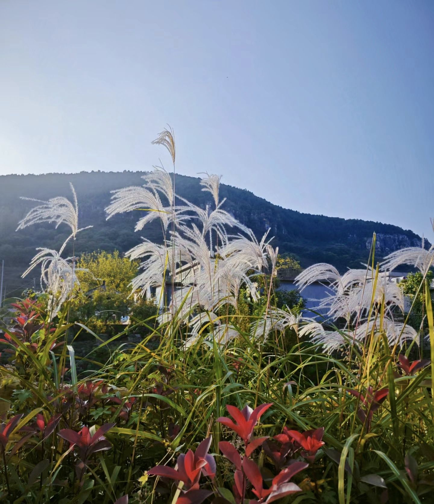 葫芦套风景区旅行图片 3