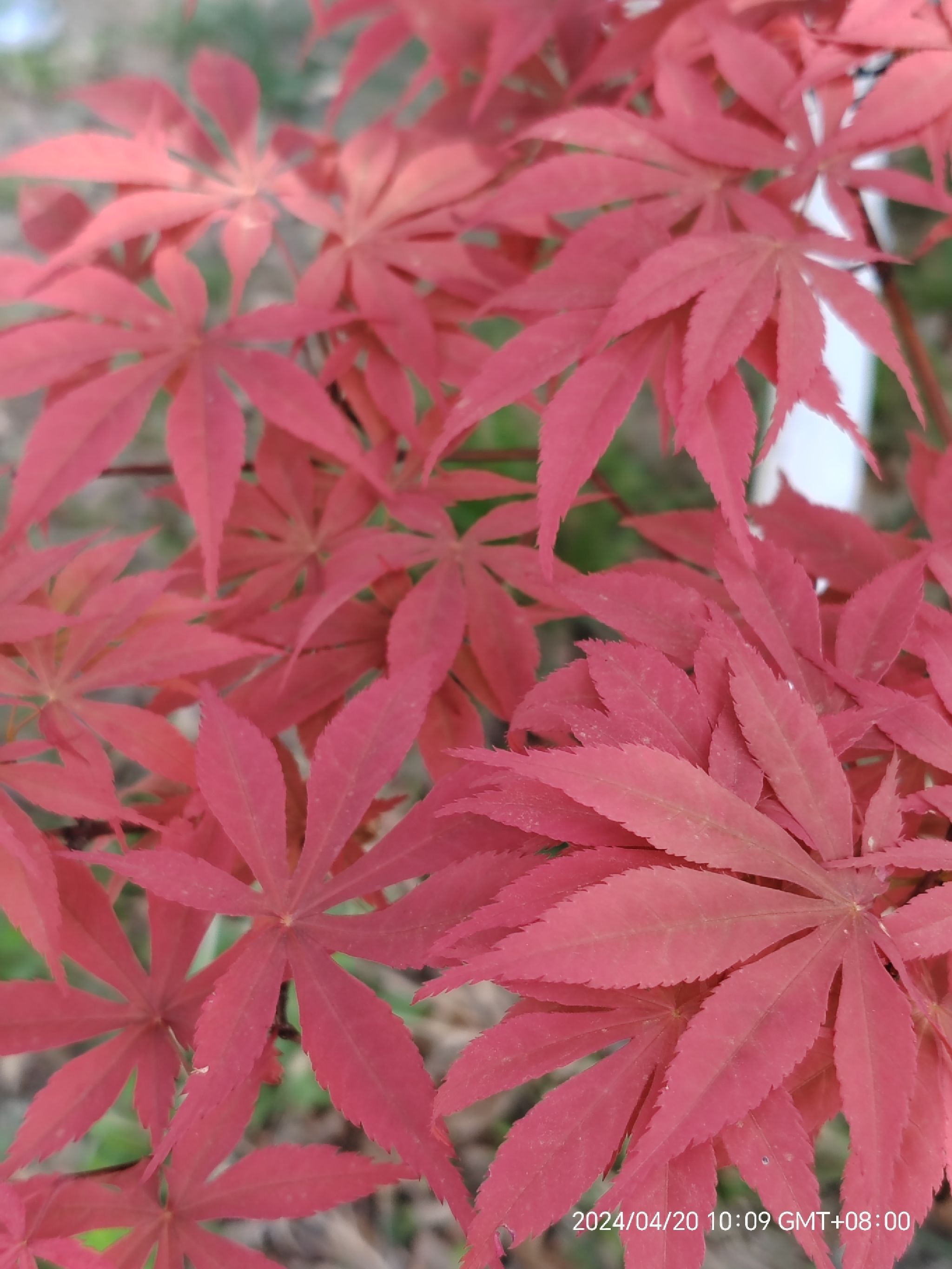 葫芦套风景区旅行图片 1