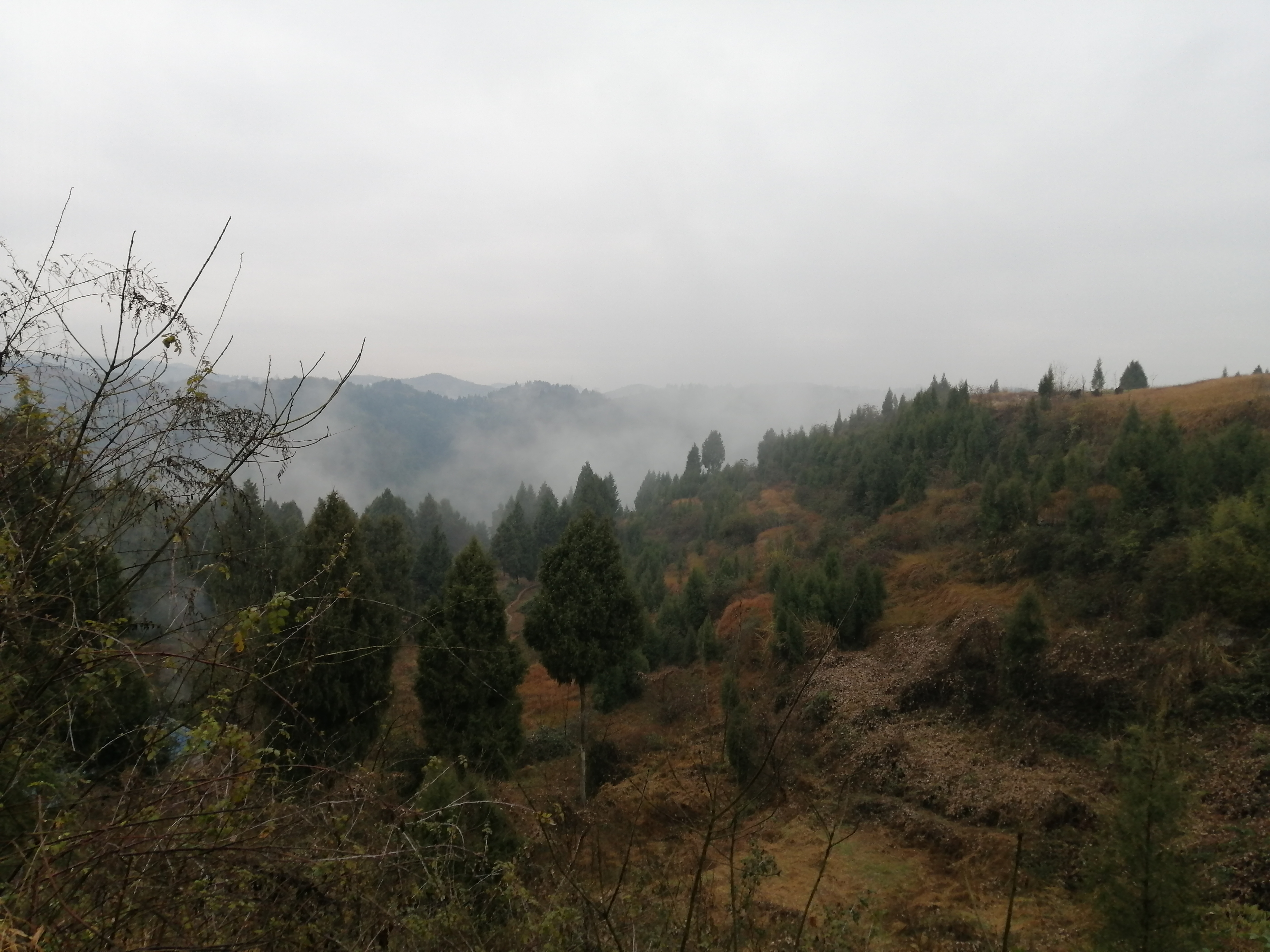汤家村广场旅行图片 1