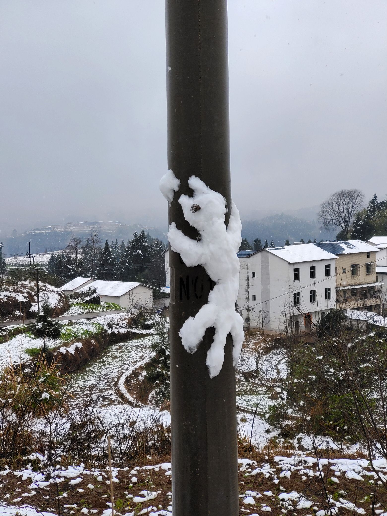 汤家村广场旅行图片 3