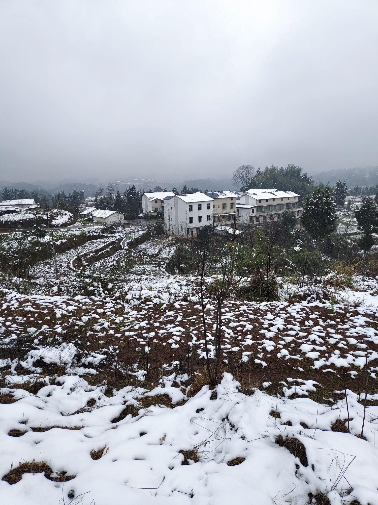 汤家村广场旅行图片 2