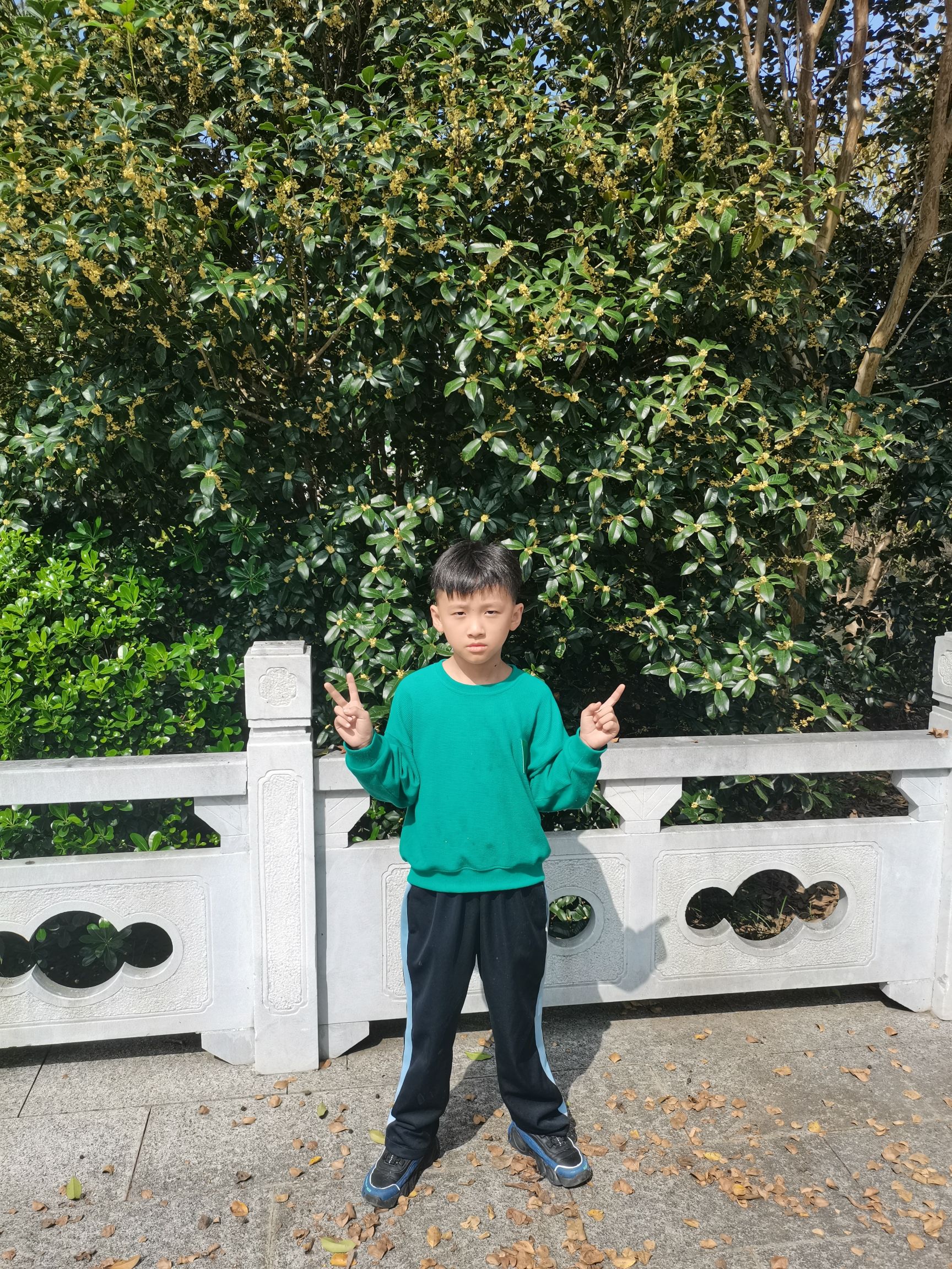 扬州孔雀山露营公园旅行图片 3