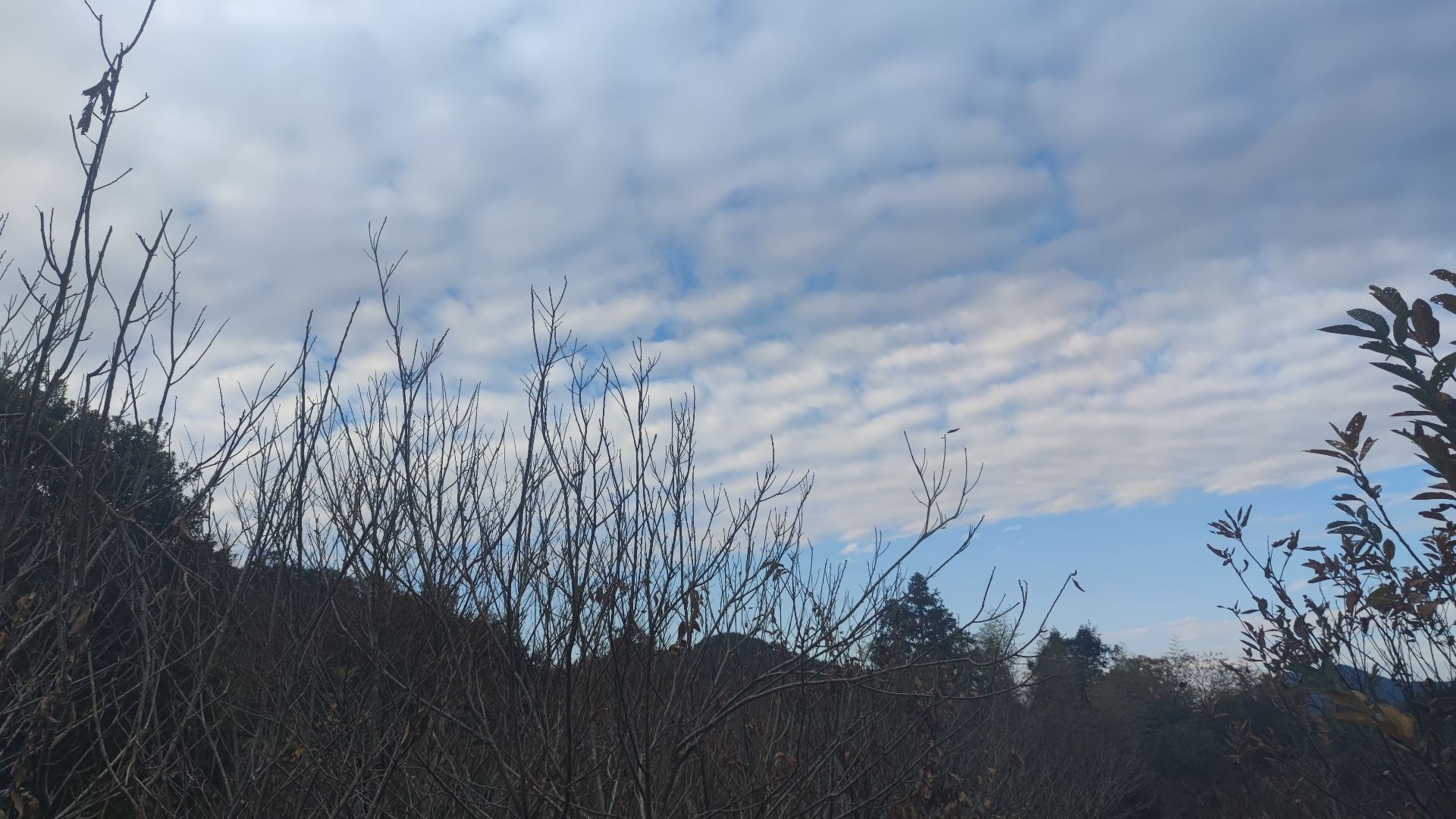 岭南古道旅行图片 3
