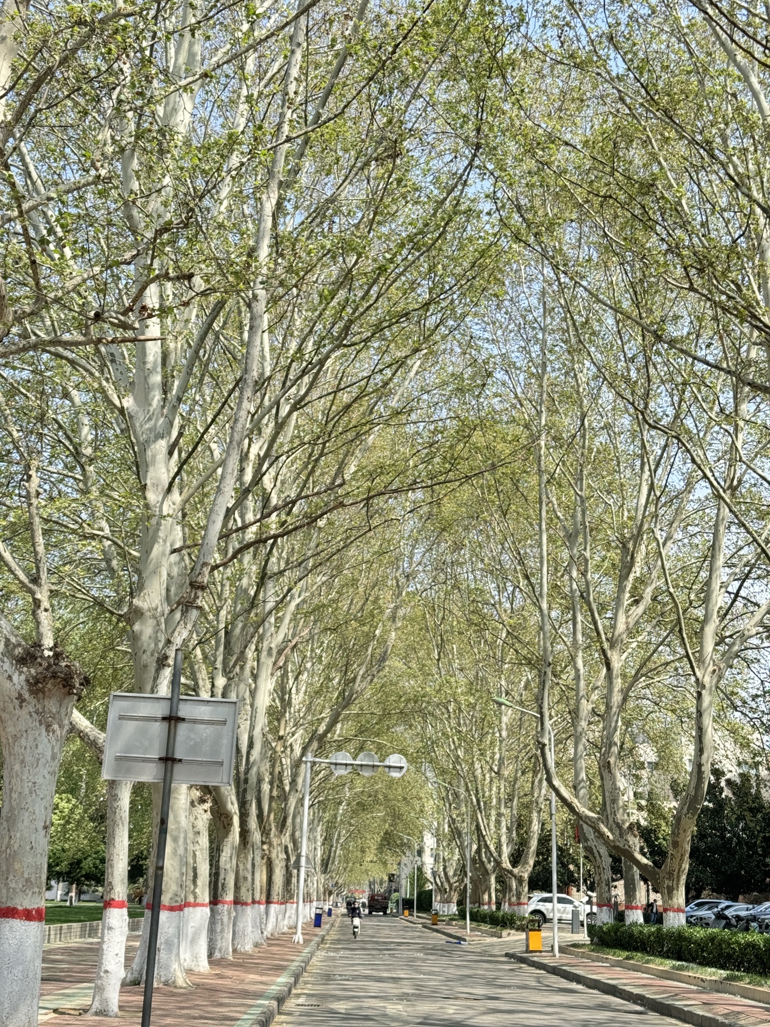 郑州大学(南校区)