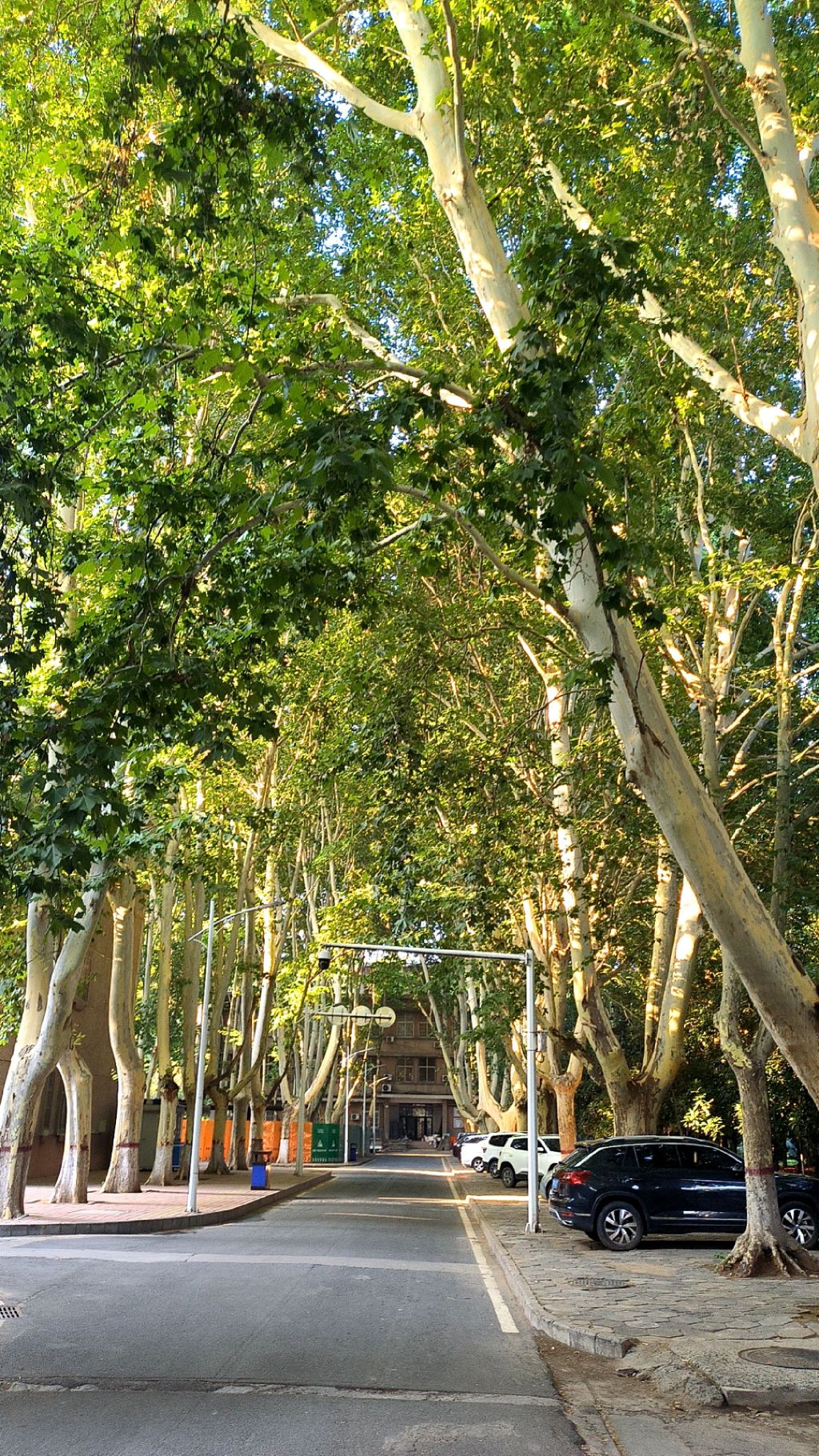 郑州大学(南校区)