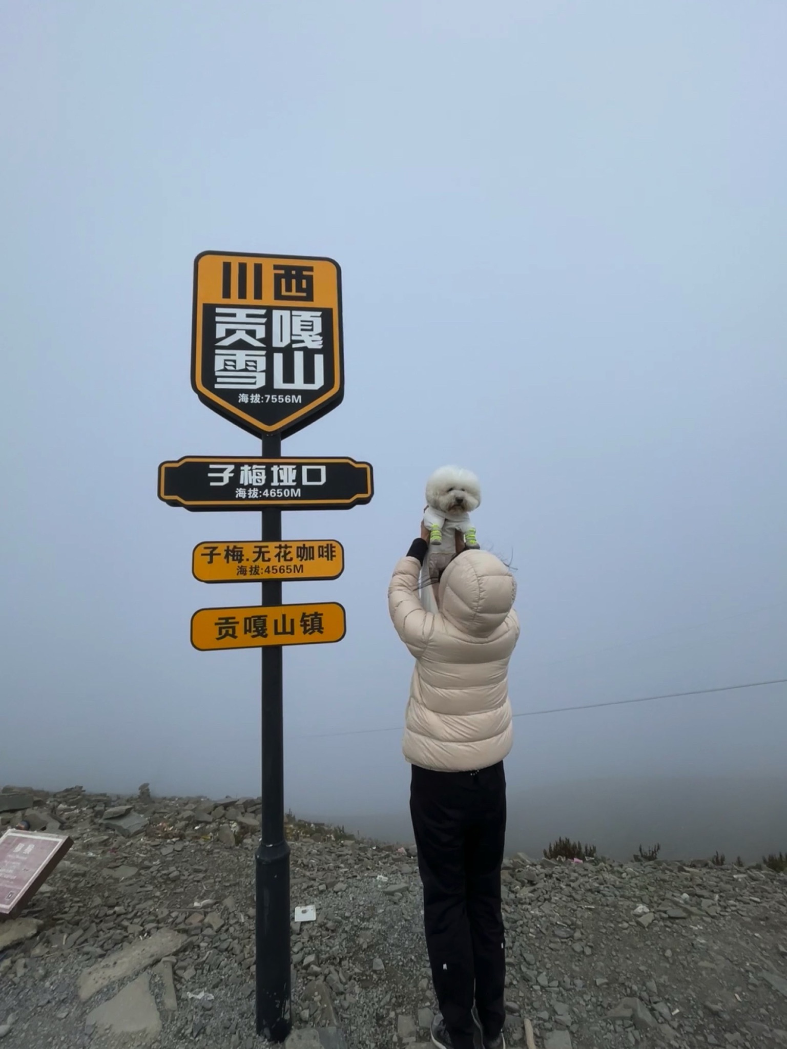 子梅垭口旅行图片 1