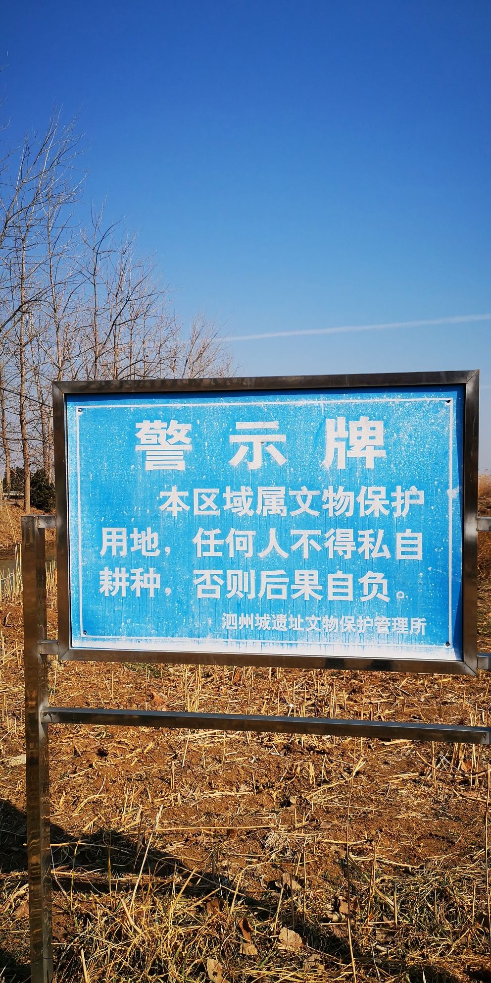 泗州城遗址旅行图片 2