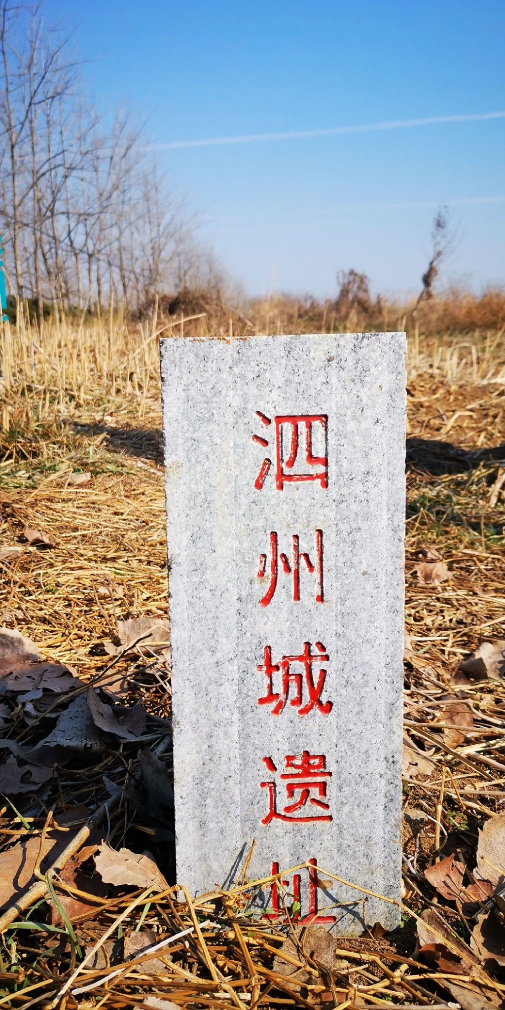 泗州城遗址旅行图片 1