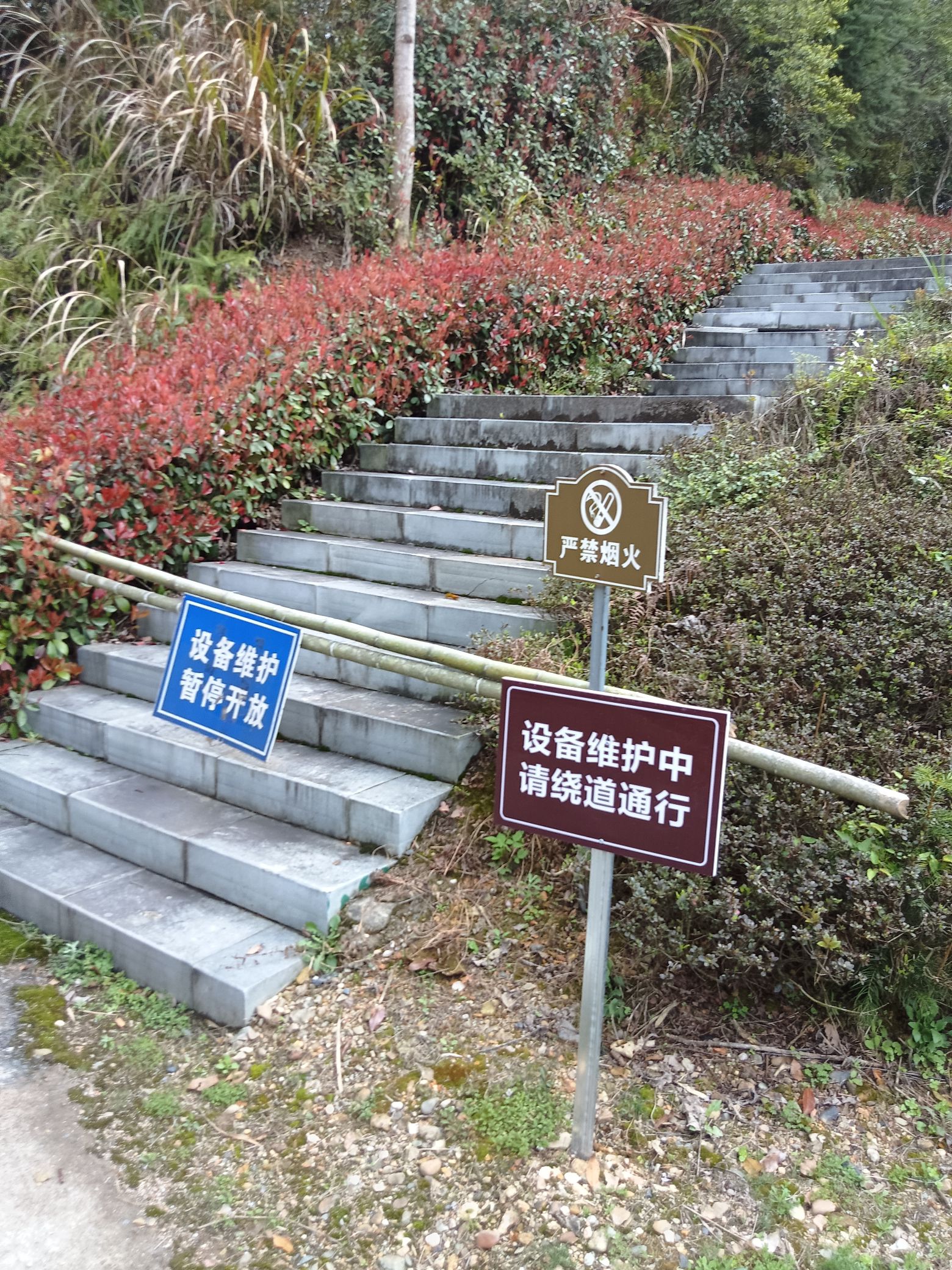 花牵谷景区旅行图片 1