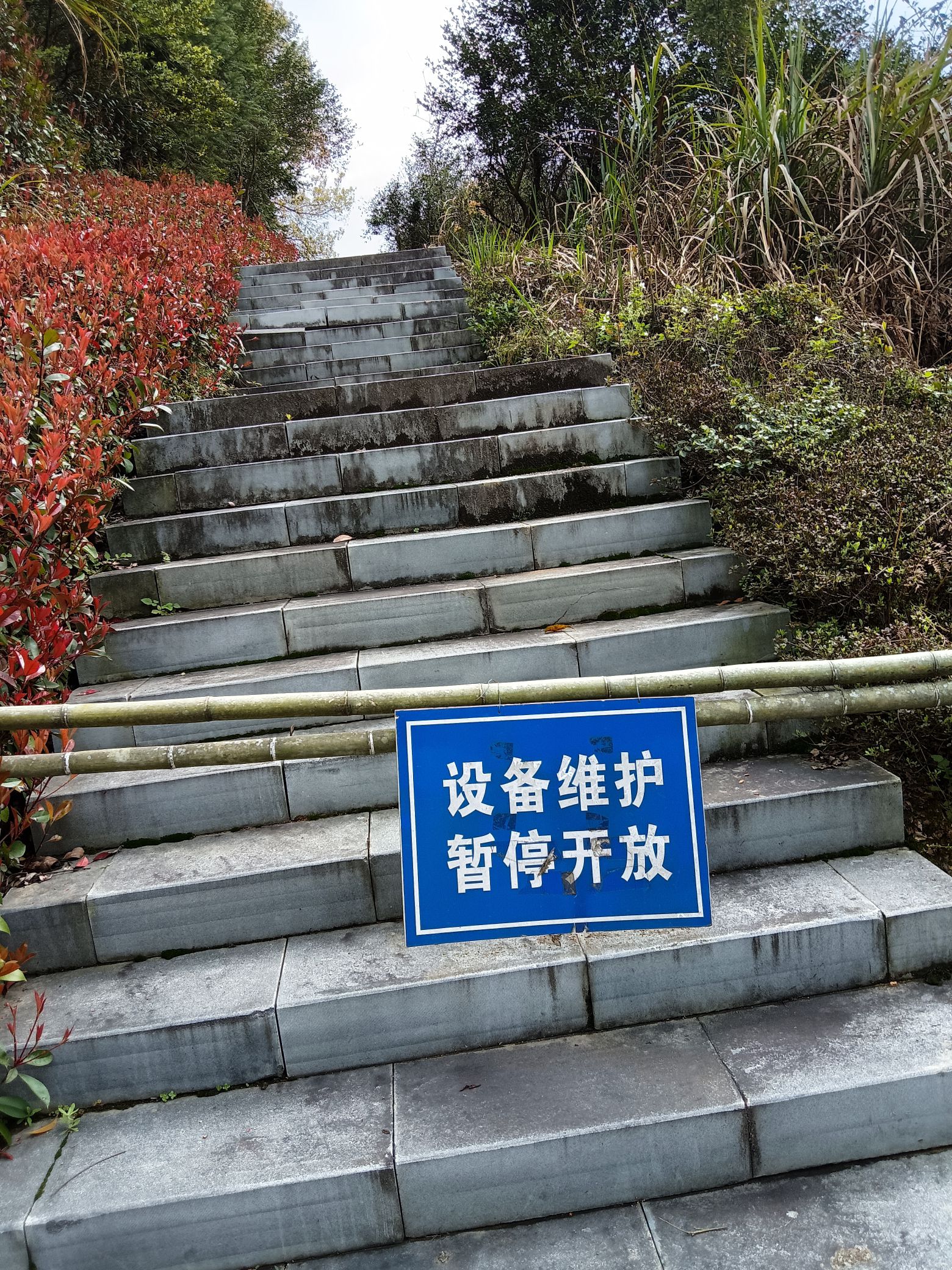 花牵谷景区旅行图片 3