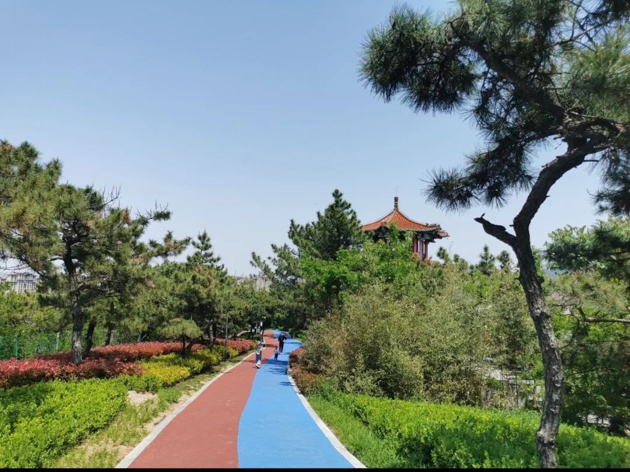 天池旅行图片 2