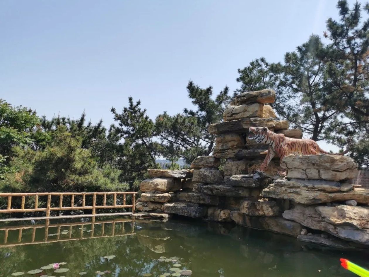 天池旅行图片 3