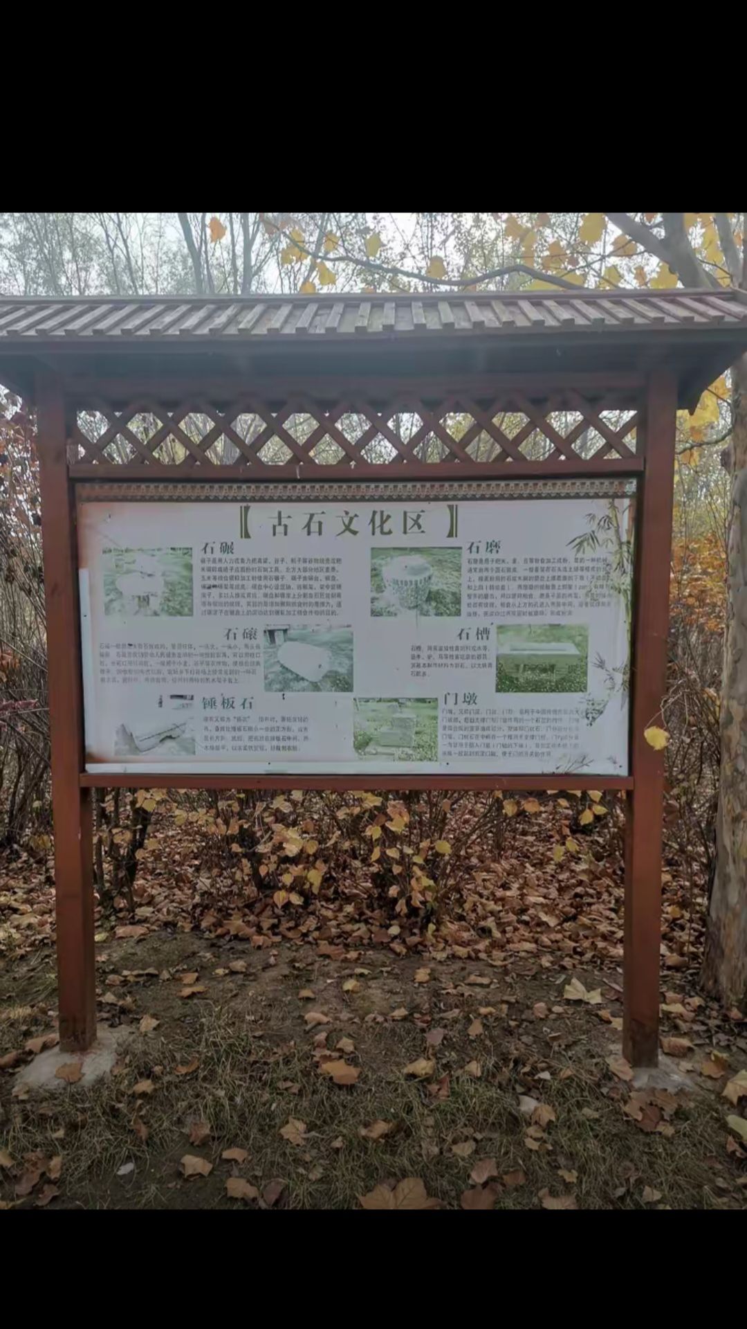 石佛寺公园旅行图片 2