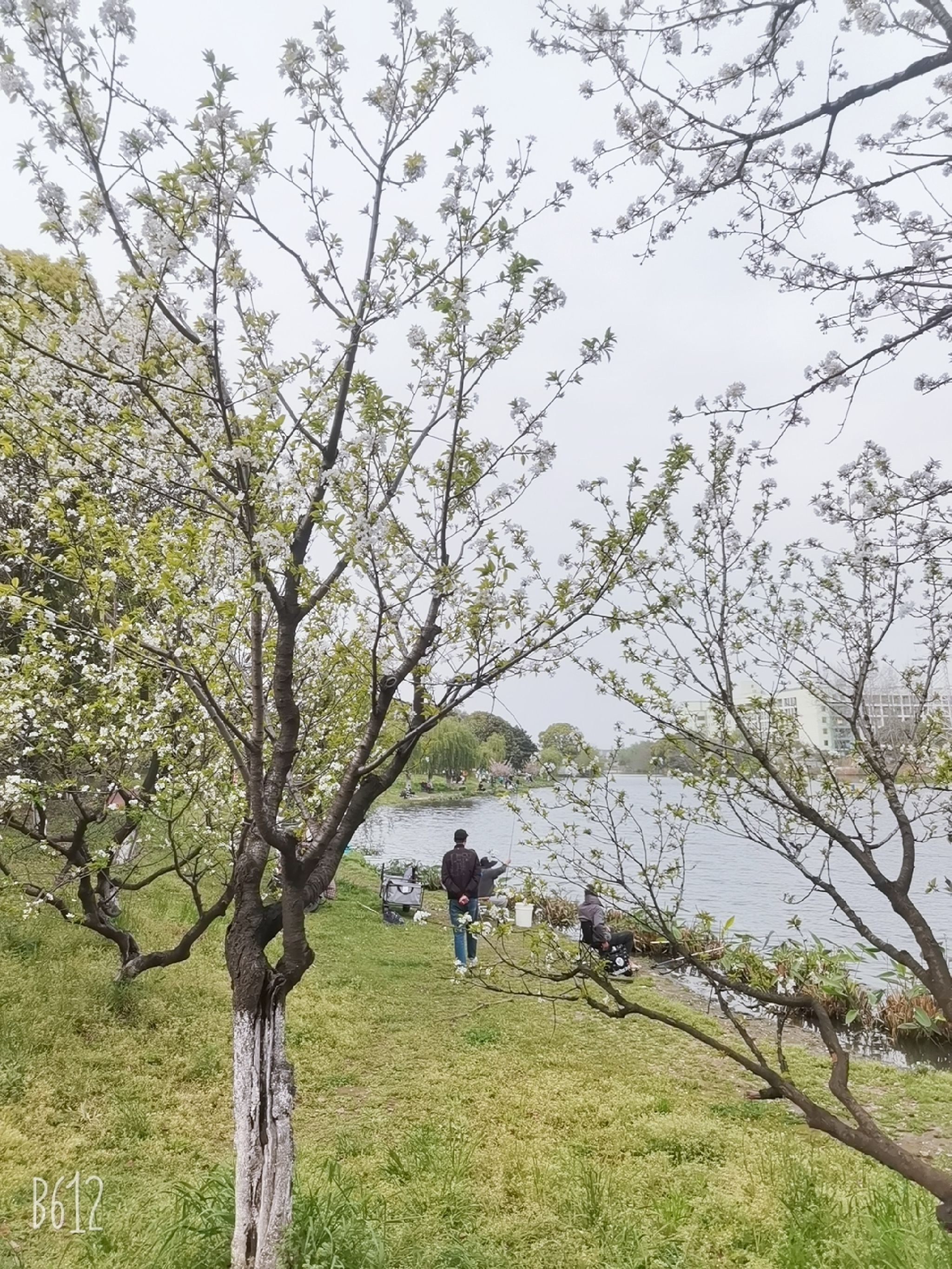 洛城公园旅行图片 2