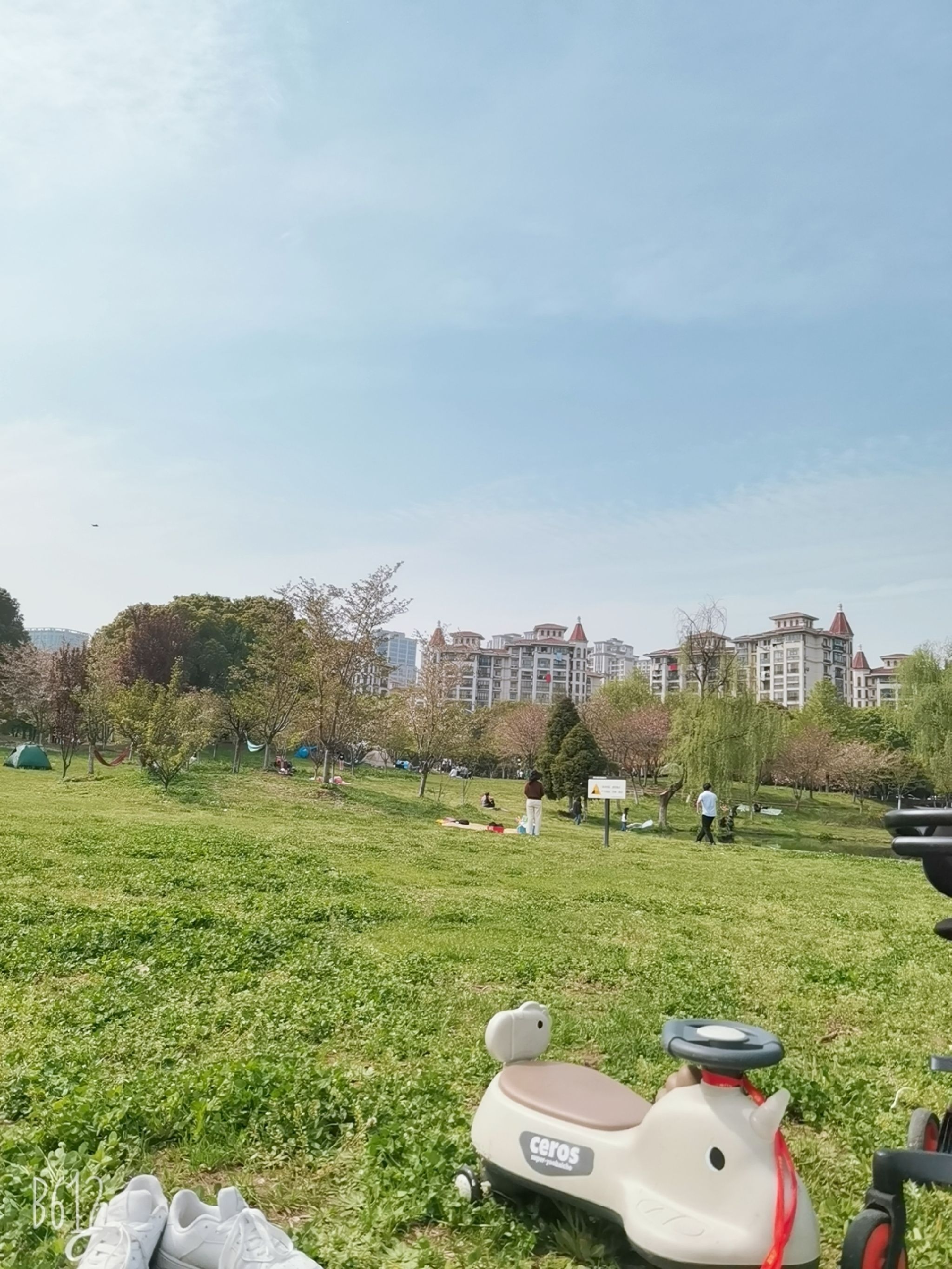 洛城公园旅行图片 1