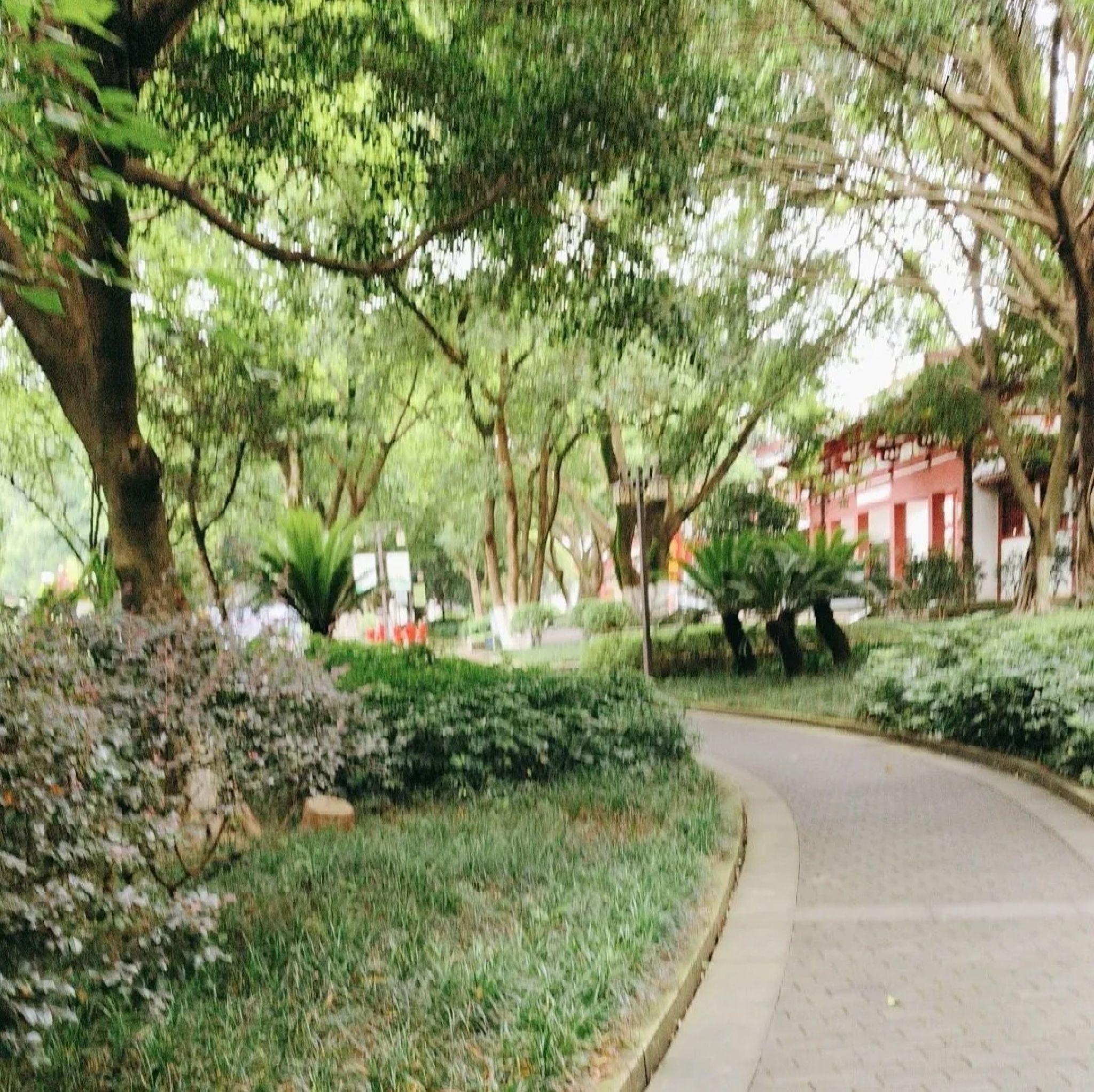 天池公园旅行图片 1
